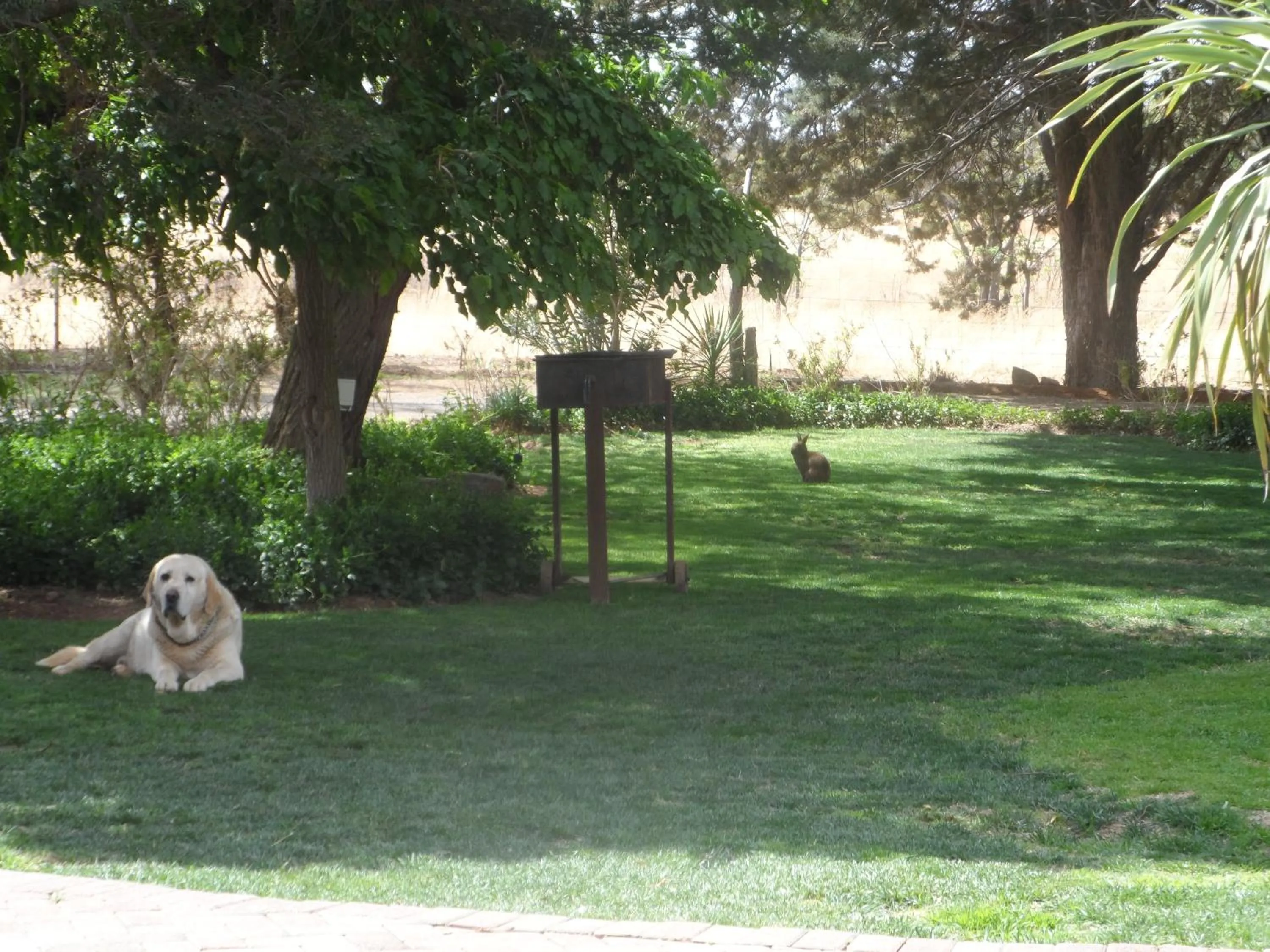 Garden in A Cherry Lane Self Catering and B&B