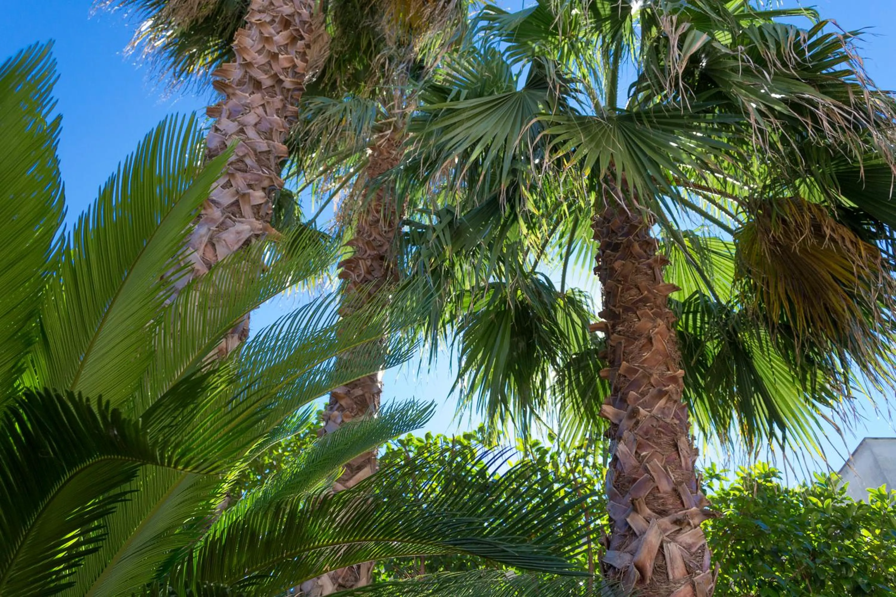 Garden in Villa Lazzari B&B Tra i due Mari