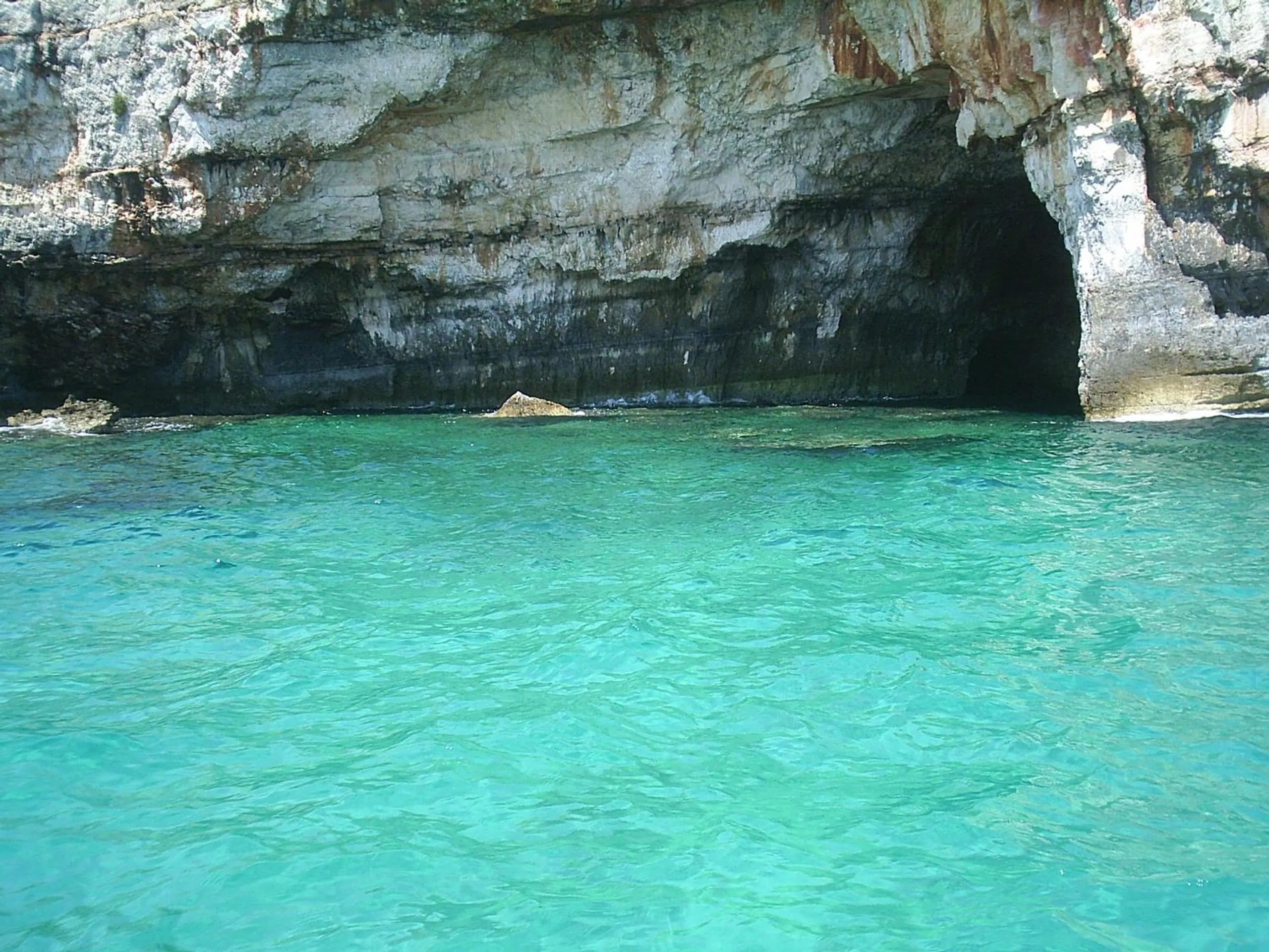 Summer in B & B Paradise