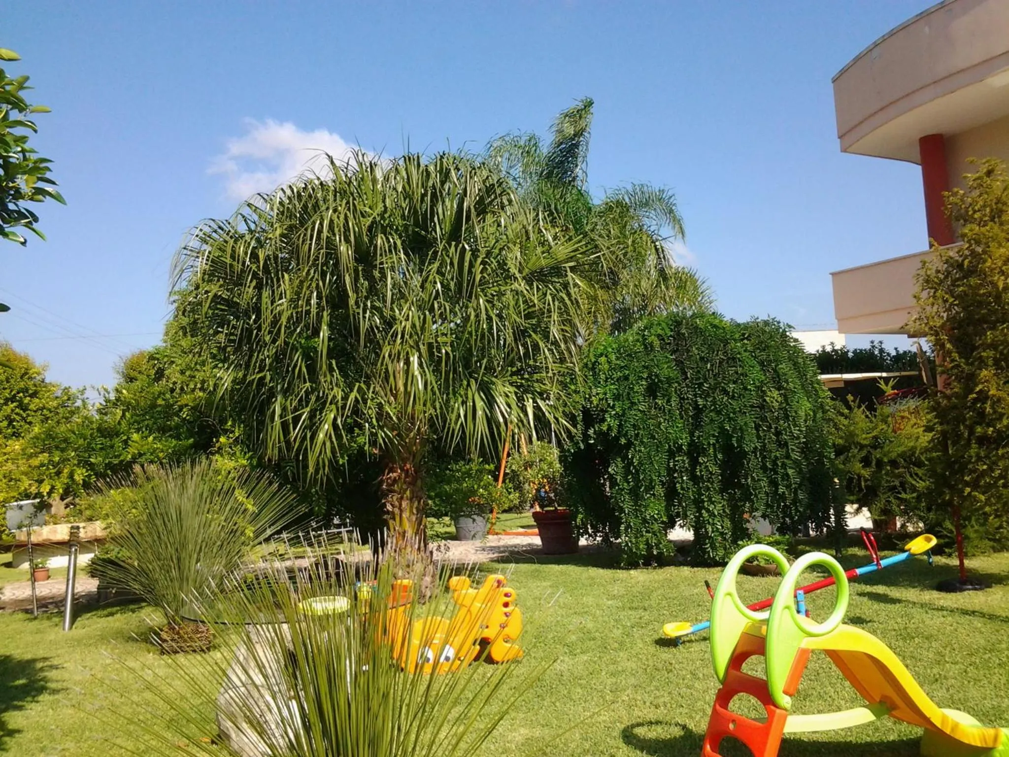 Garden in B & B Paradise