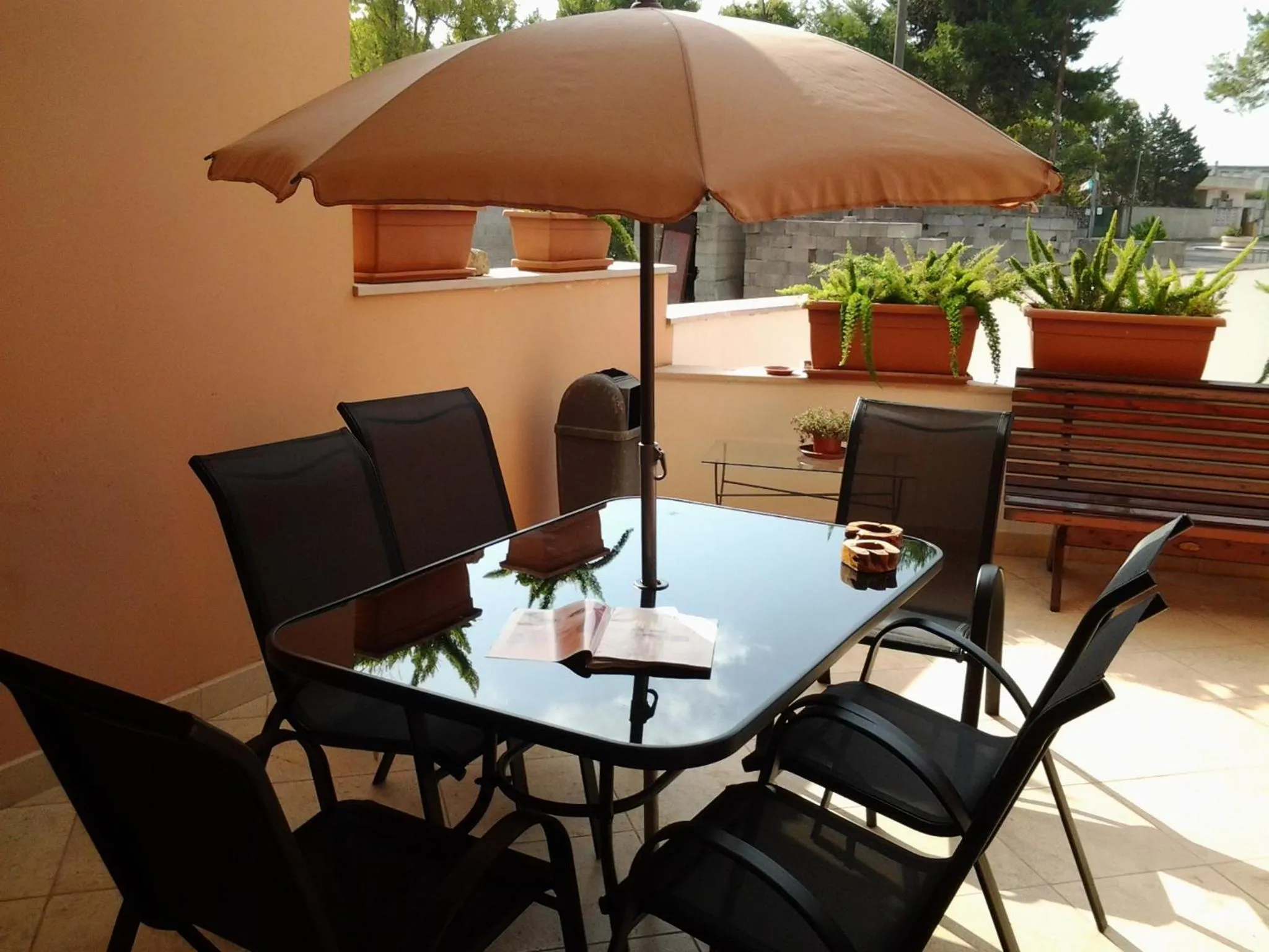 Garden in B & B Paradise