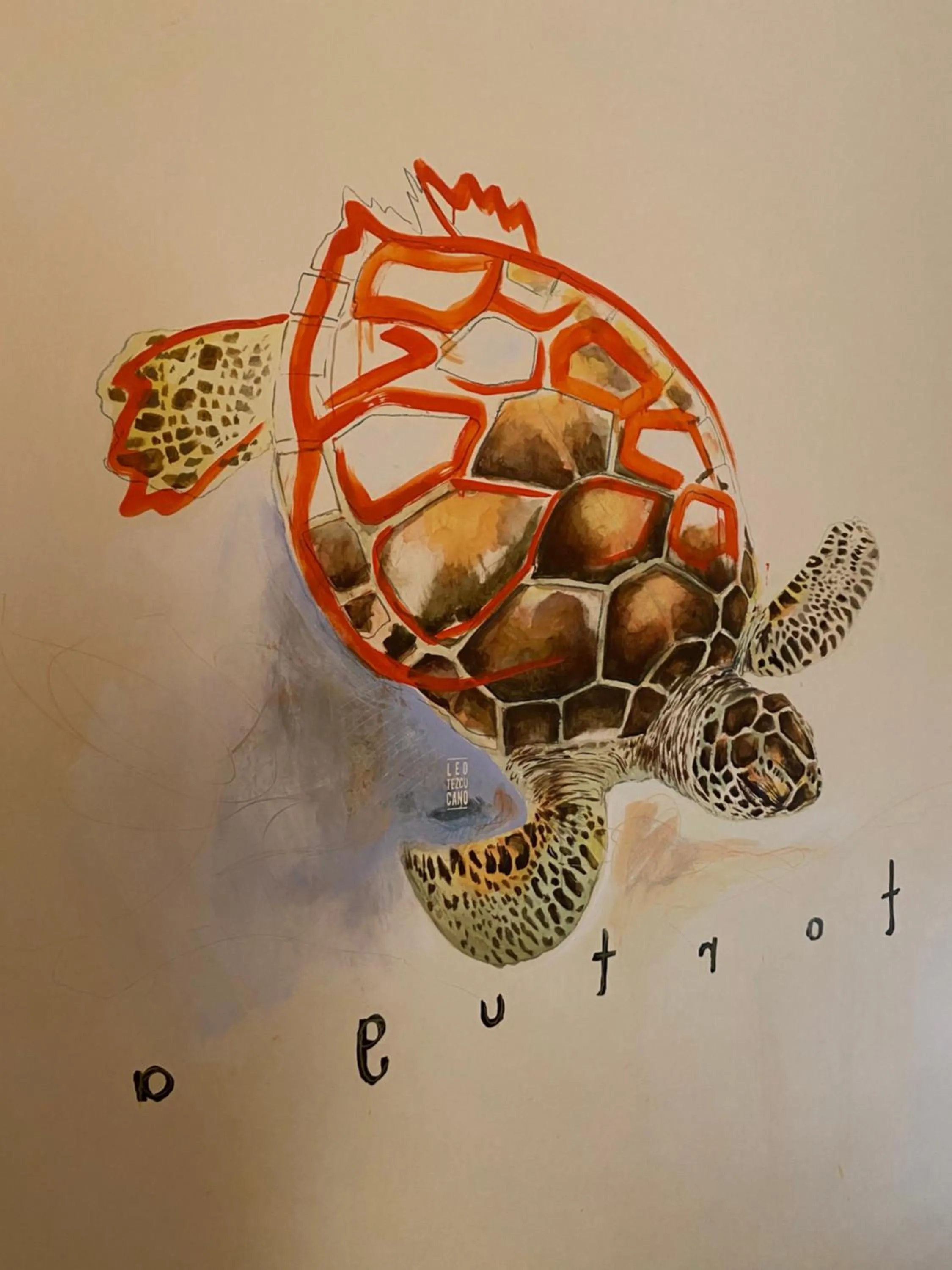 Decorative detail in Casa Borka LUXURY FULLY FURNISHED BEACH CONDOS WITH POOL