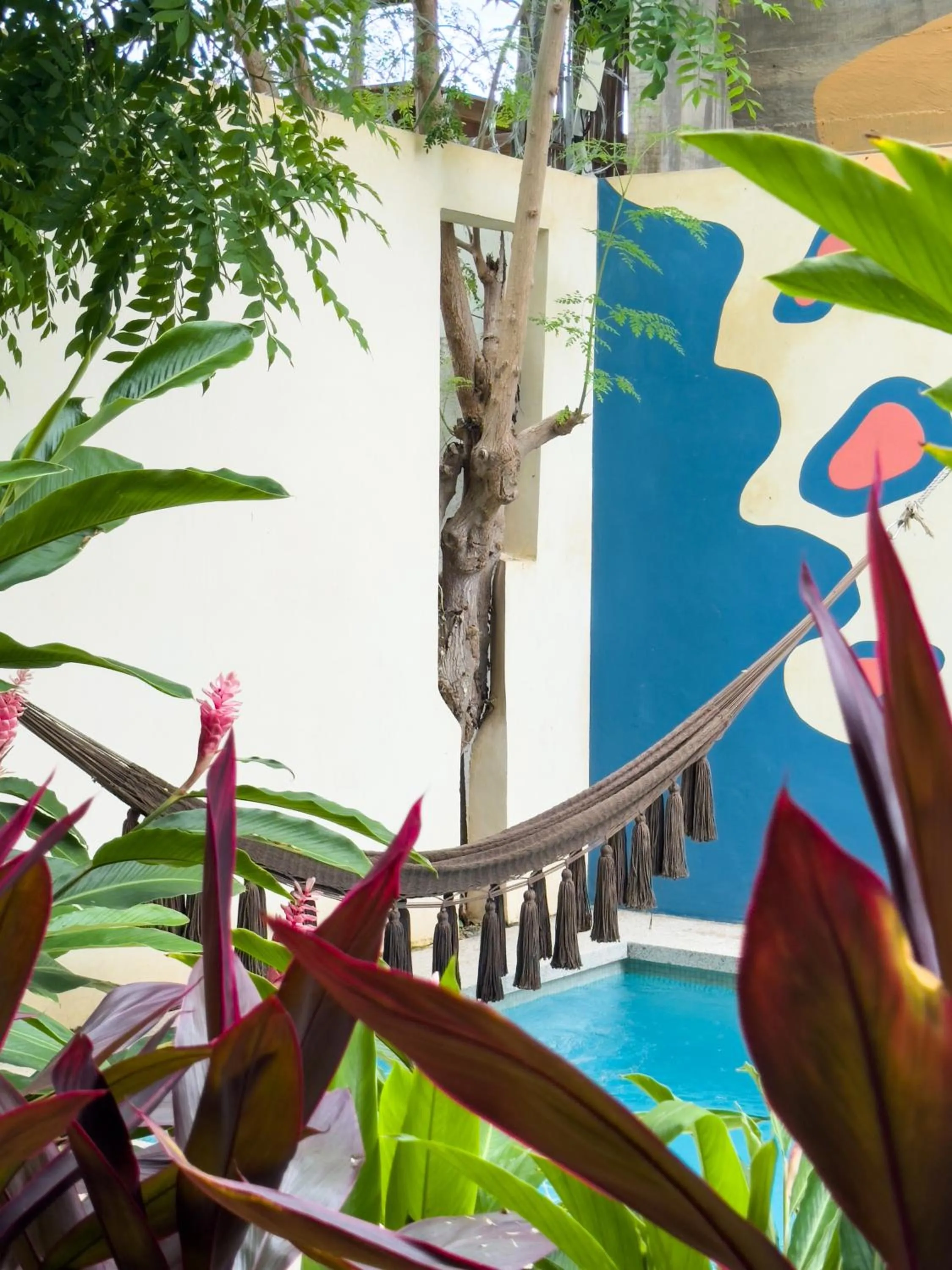 Swimming pool in Casa Borka LUXURY FULLY FURNISHED BEACH CONDOS WITH POOL