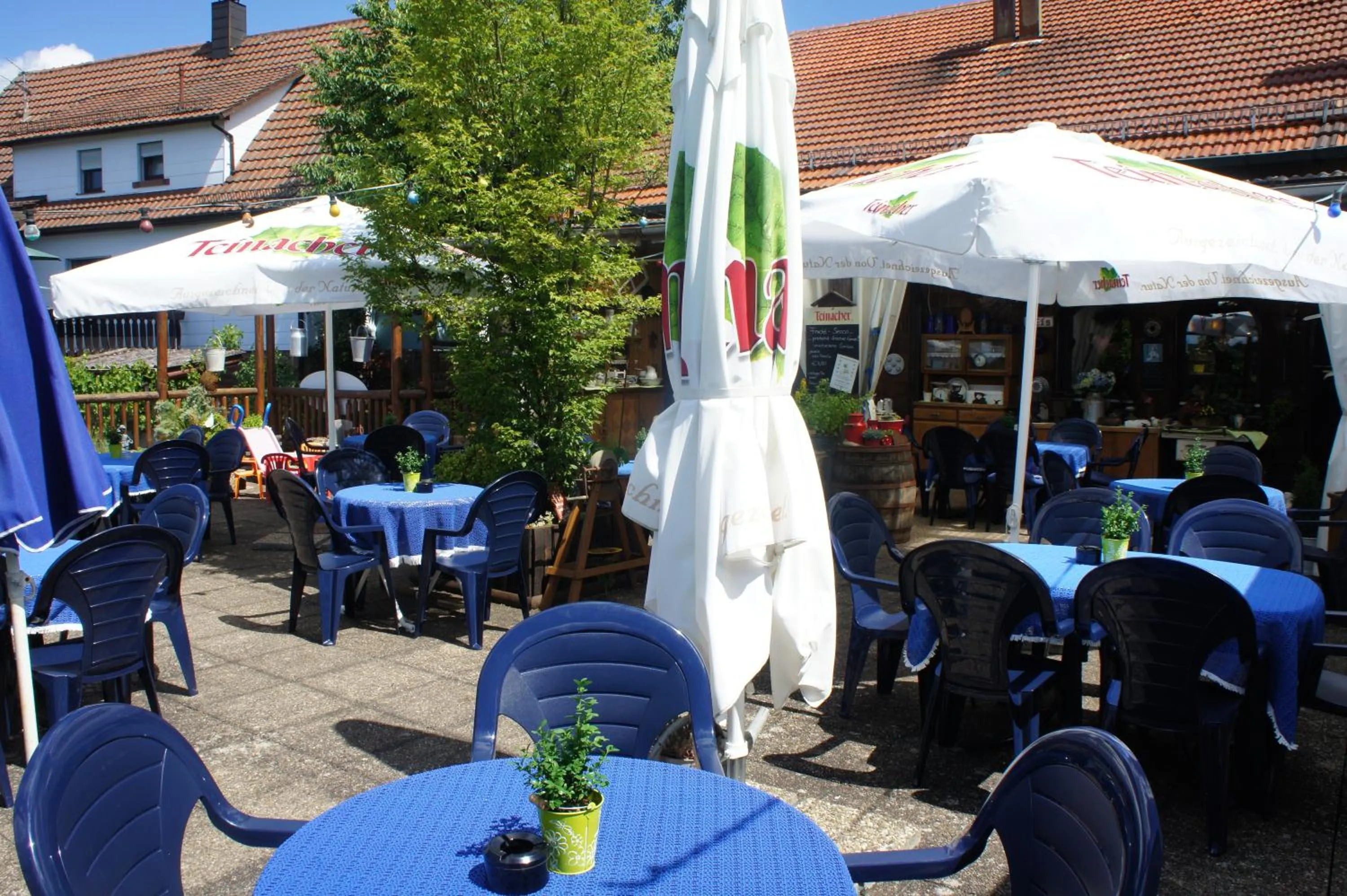 Balcony/Terrace in Landhotel Engel