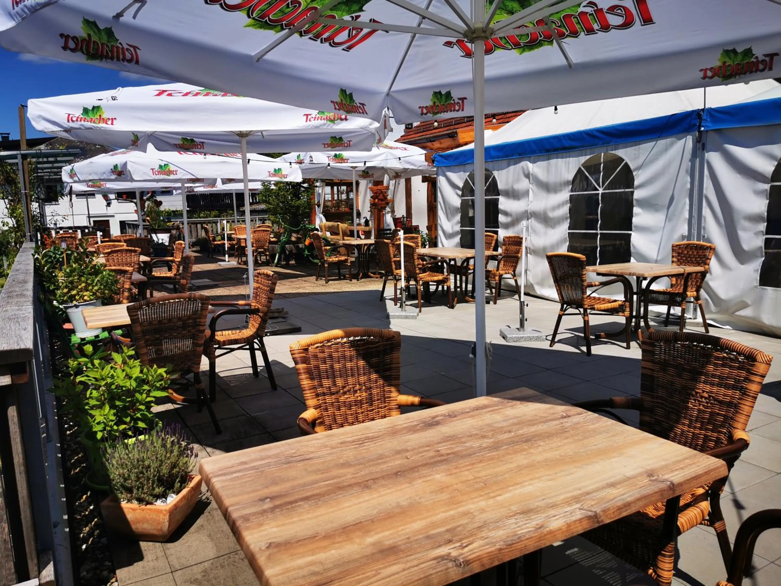 Restaurant/places to eat in Landhotel Engel