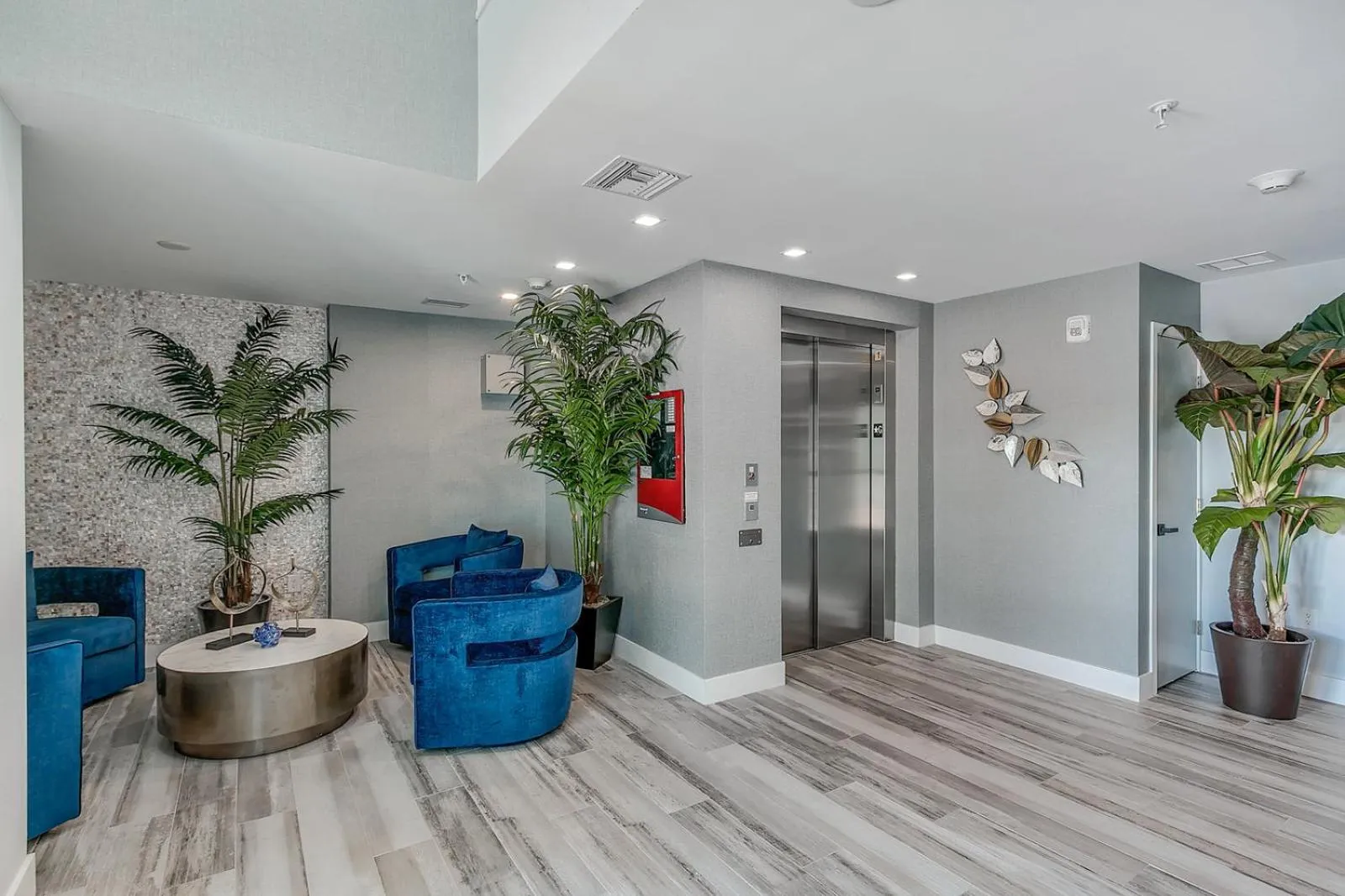 Dolphins Vacation Rental