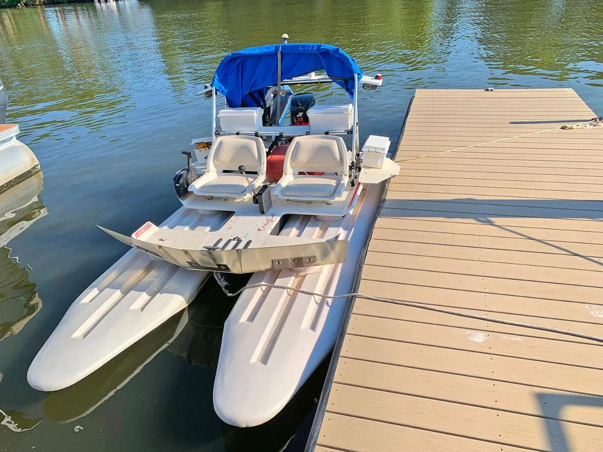 Activities in Dolphins Vacation Rental