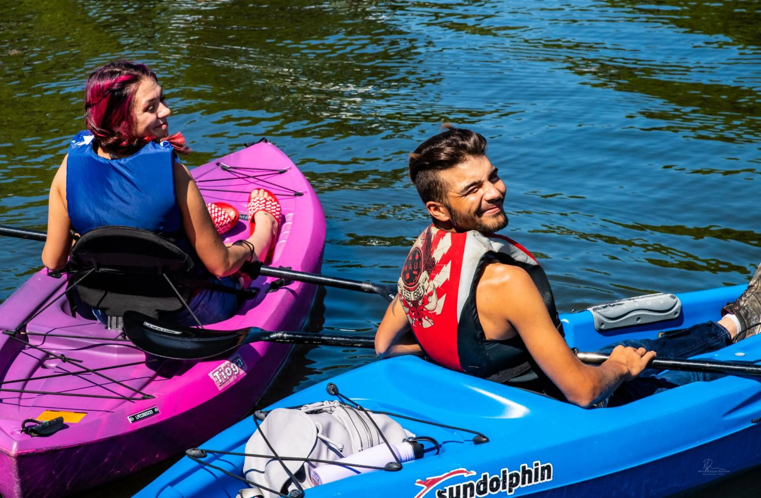 Activities in Dolphins Vacation Rental