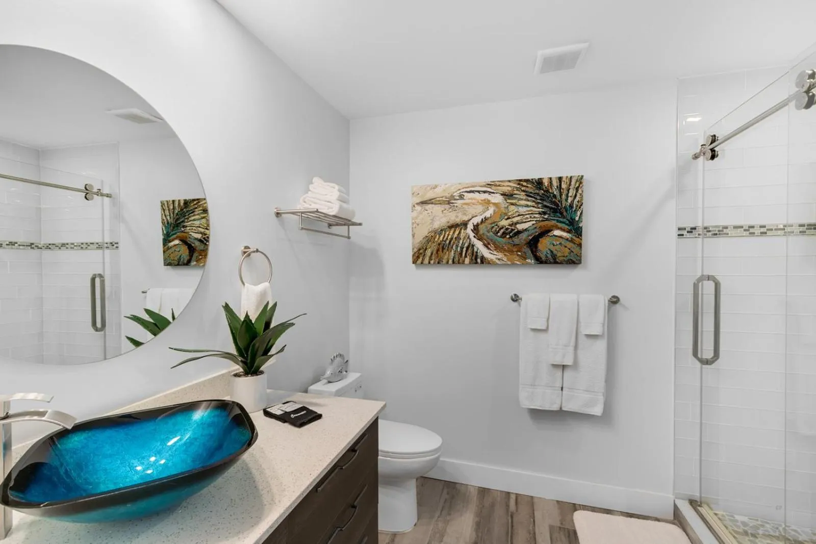 Dolphins Vacation Rental