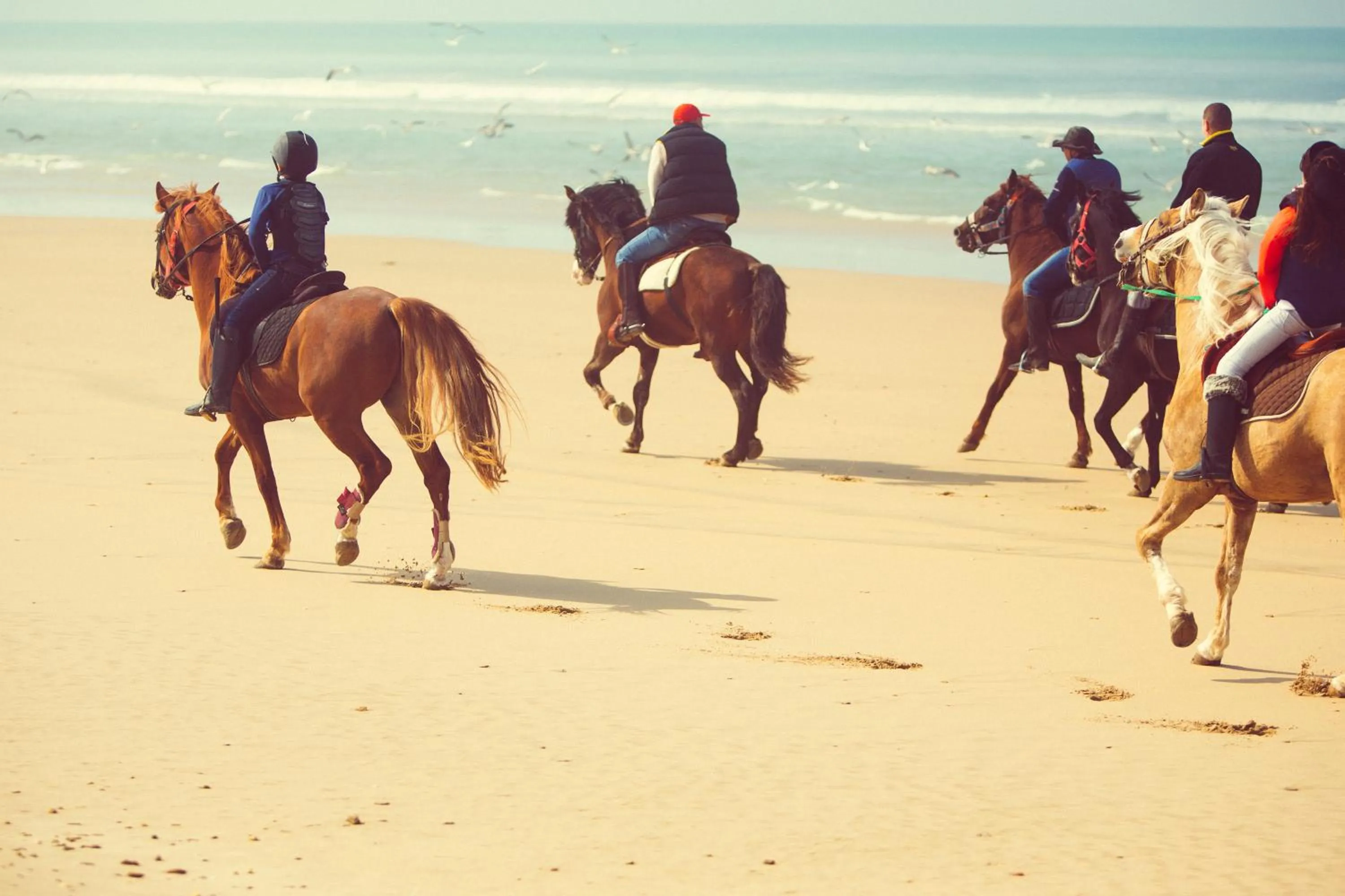 Horse-riding in Le Rio Appart-Hotel City Center
