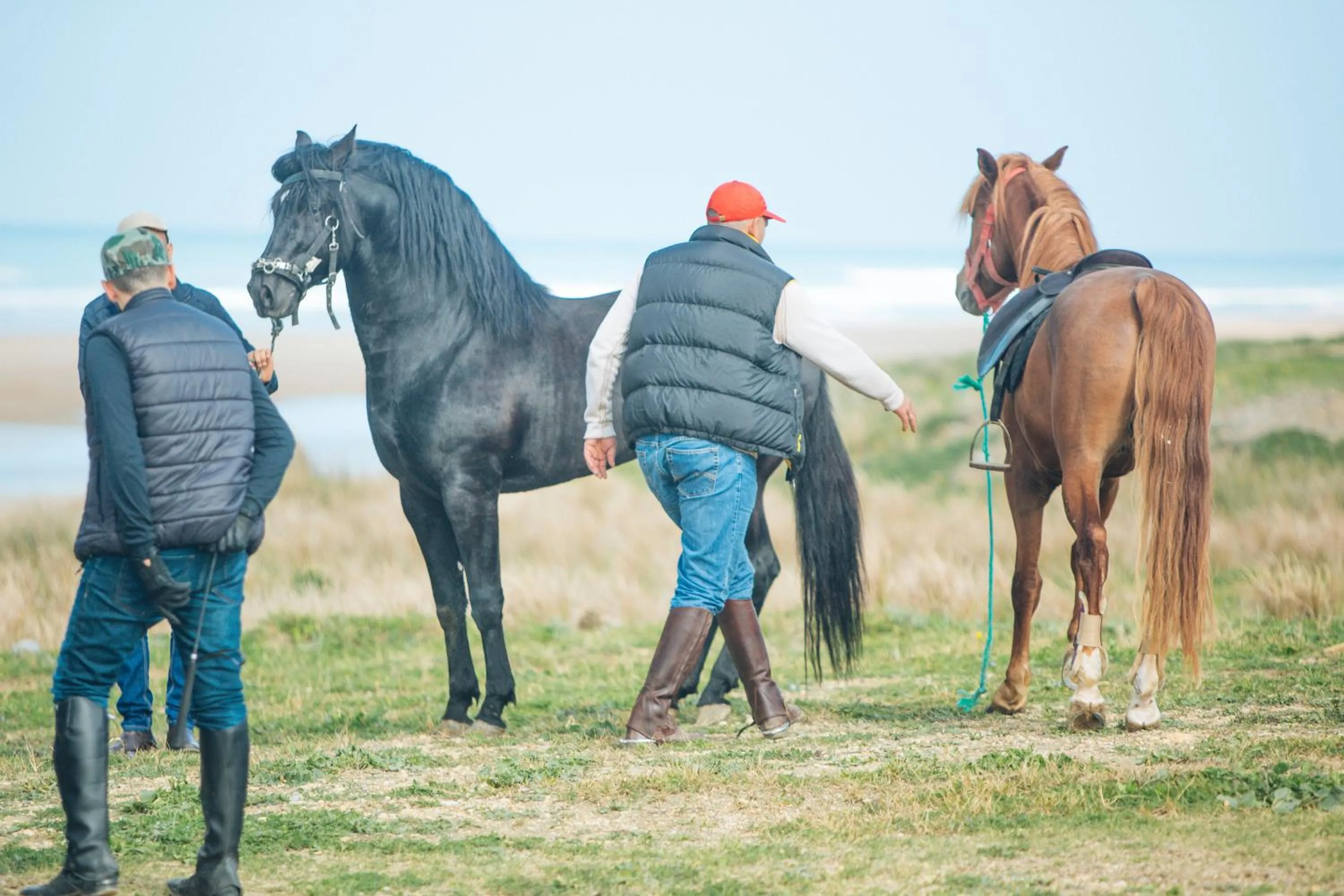Horse-riding in Le Rio Appart-Hotel City Center