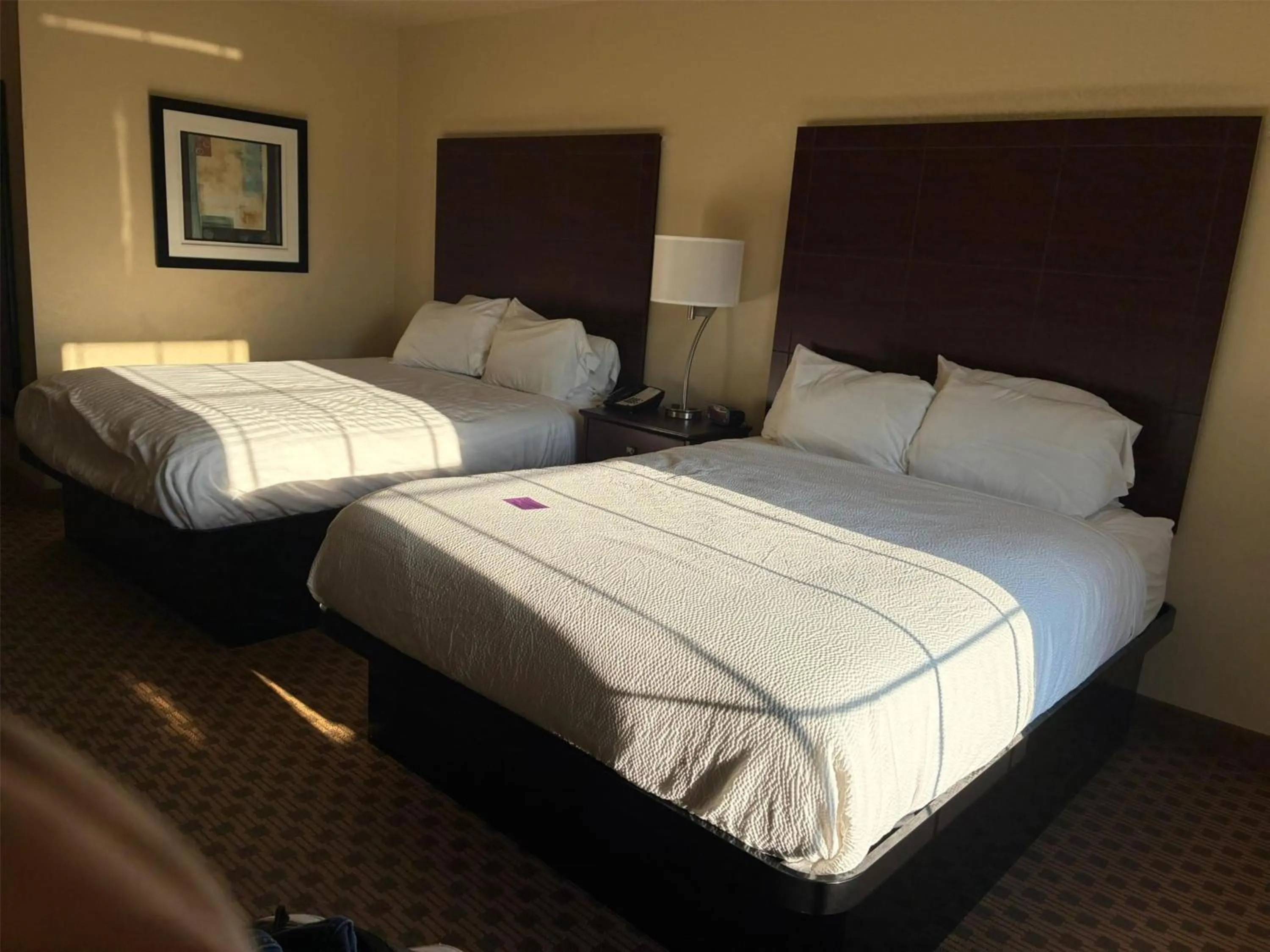 Bedroom, Bed in SureStay by Best Western Salem