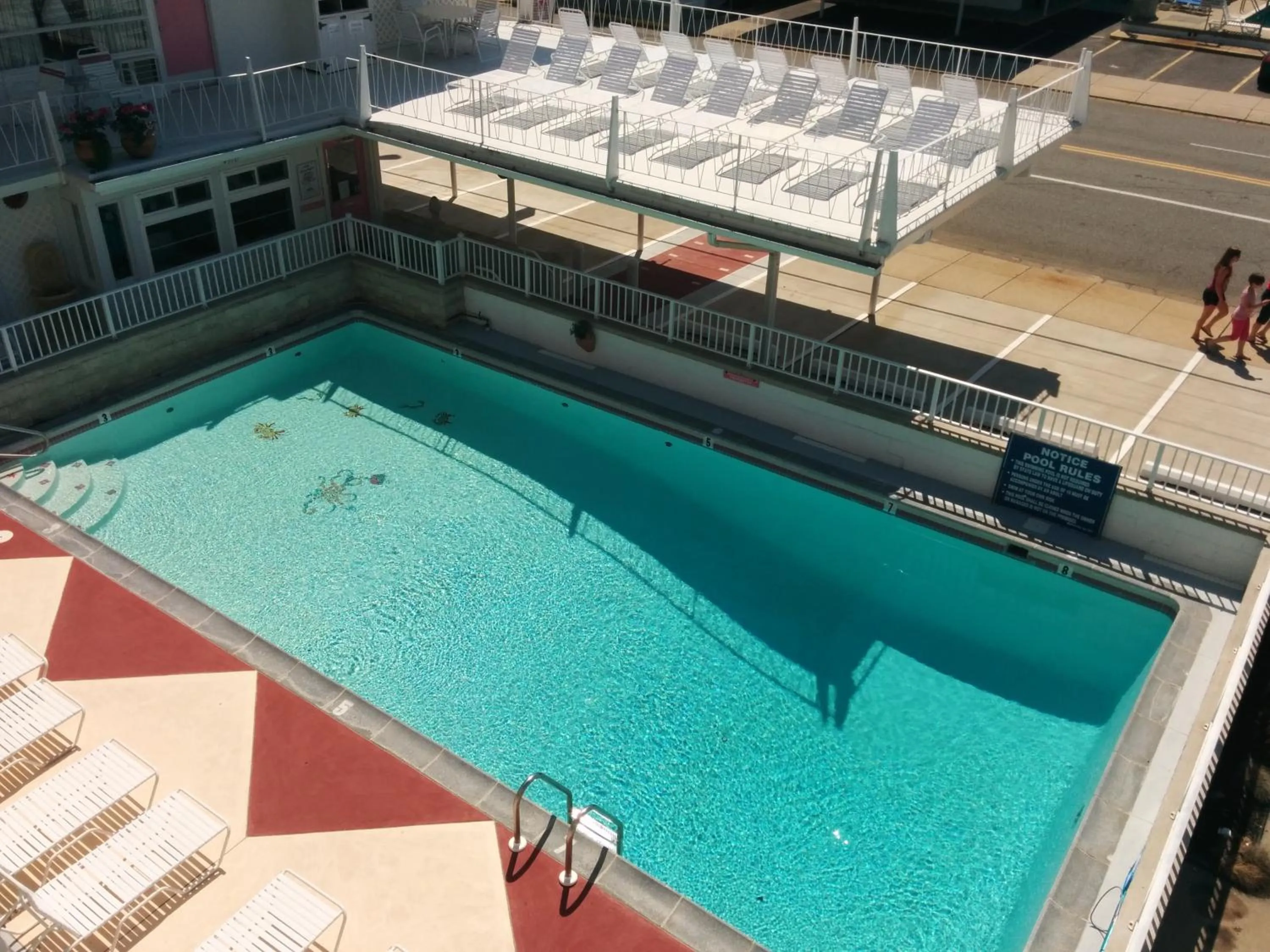 Swimming pool in Pink Champagne Motel