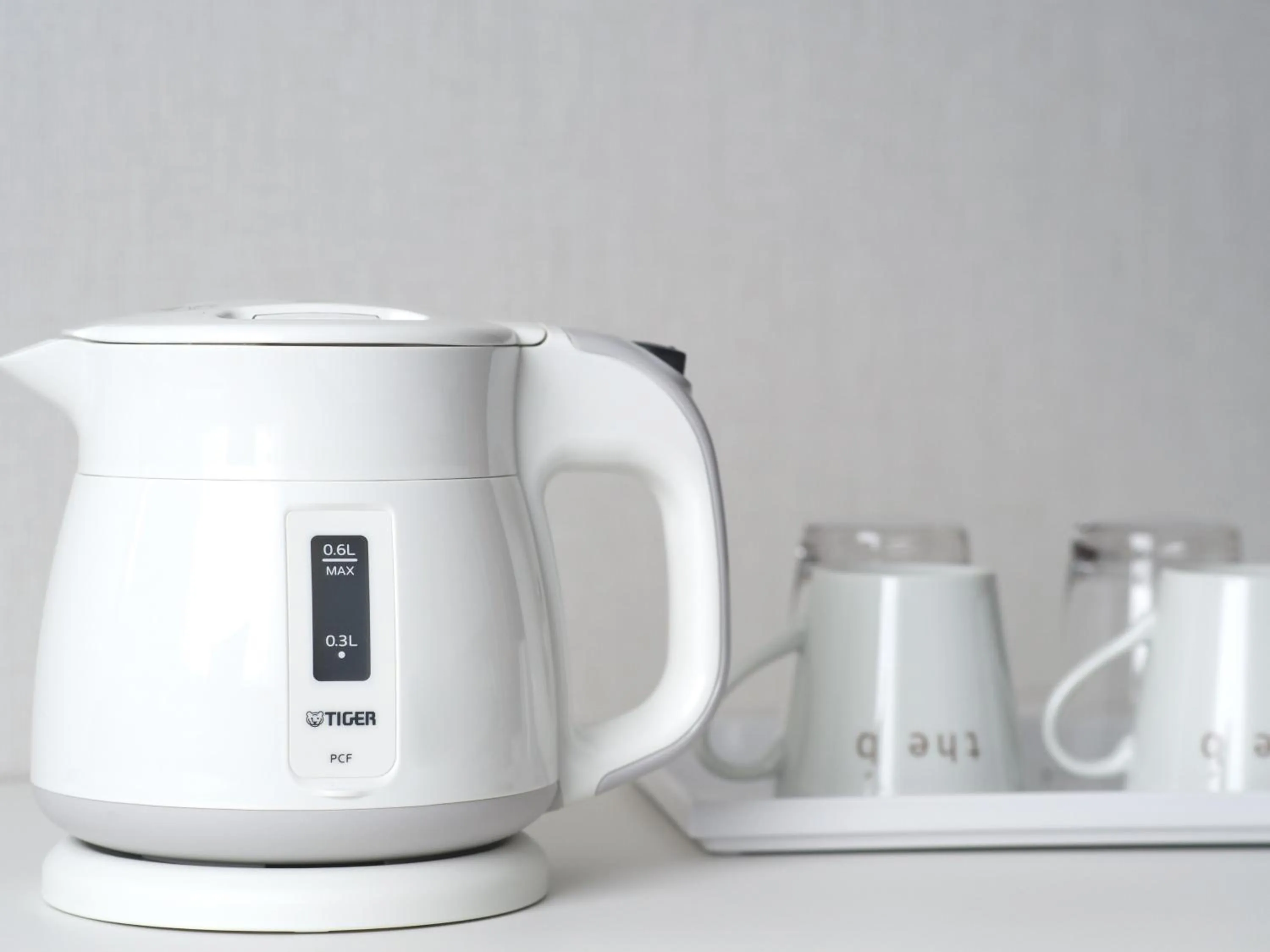 Photo of the whole room in the b sapporo