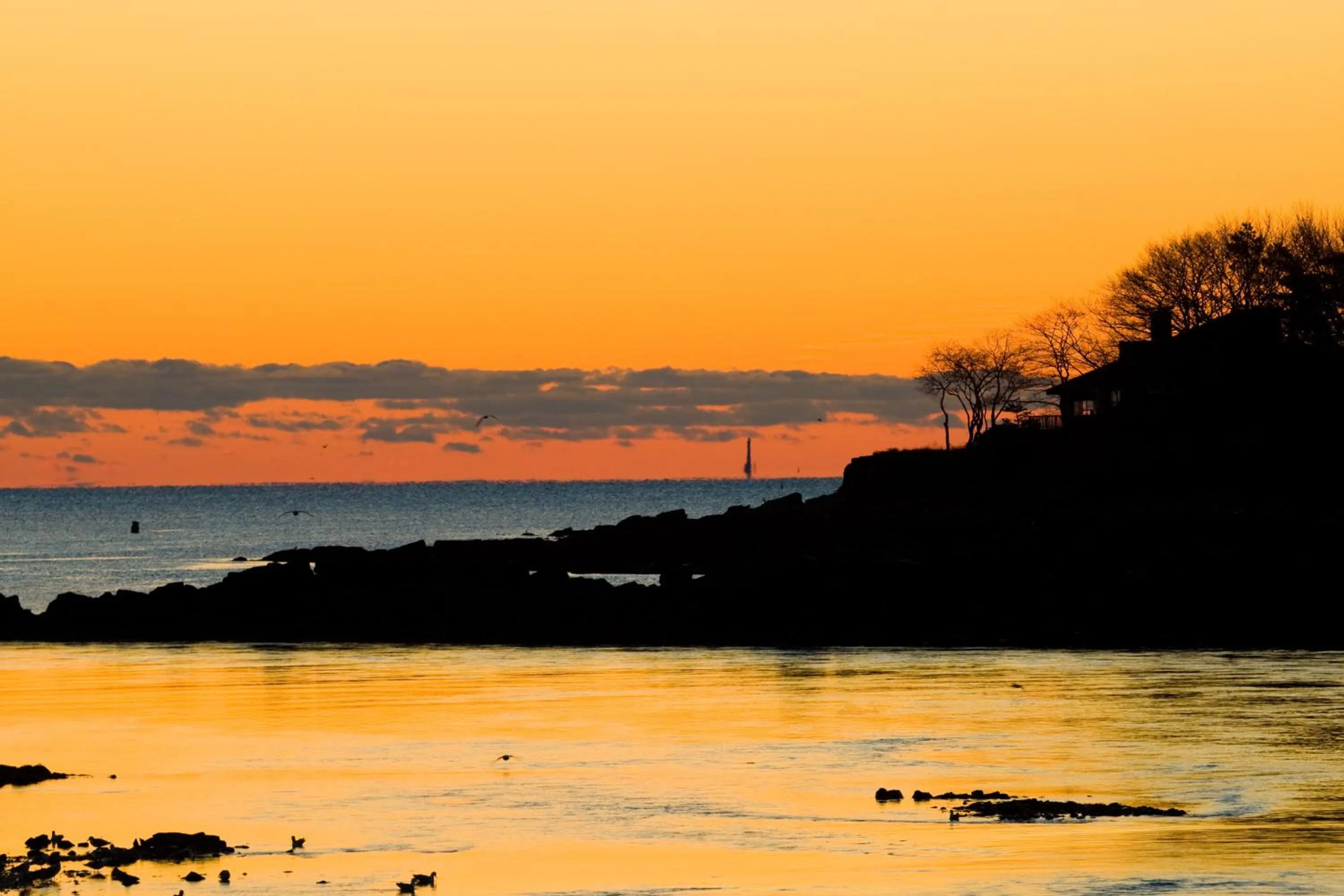 View (from property/room) in Dockside Guest Quarters