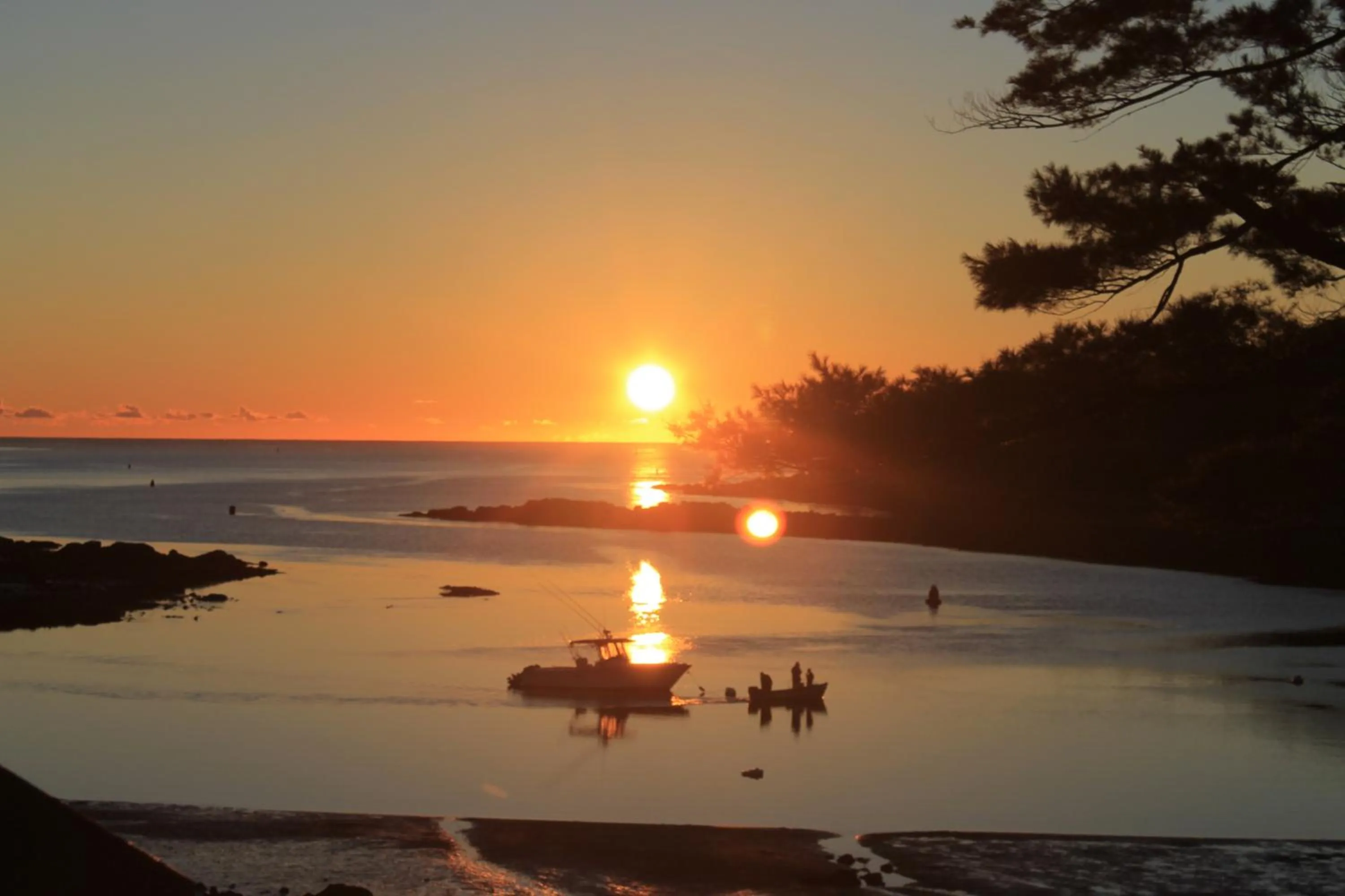 Natural landscape in Dockside Guest Quarters