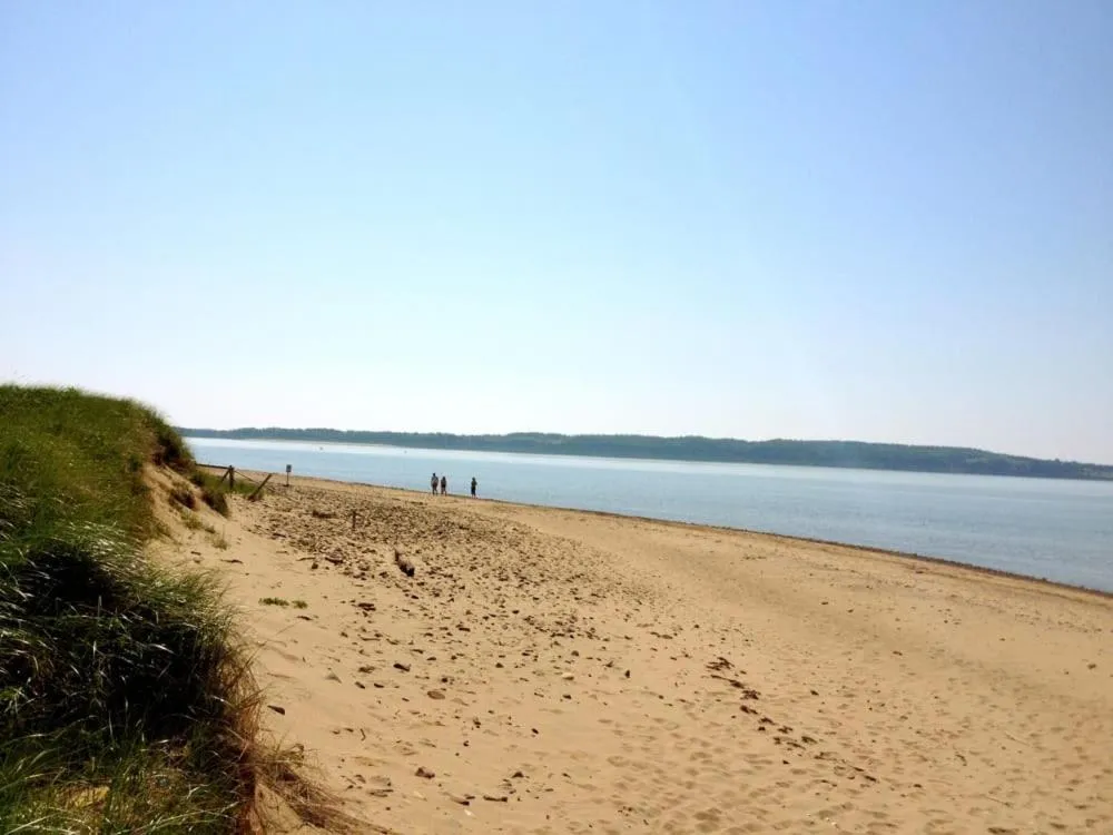 Beach in The Fiddle and the Sea Bed and Breakfast