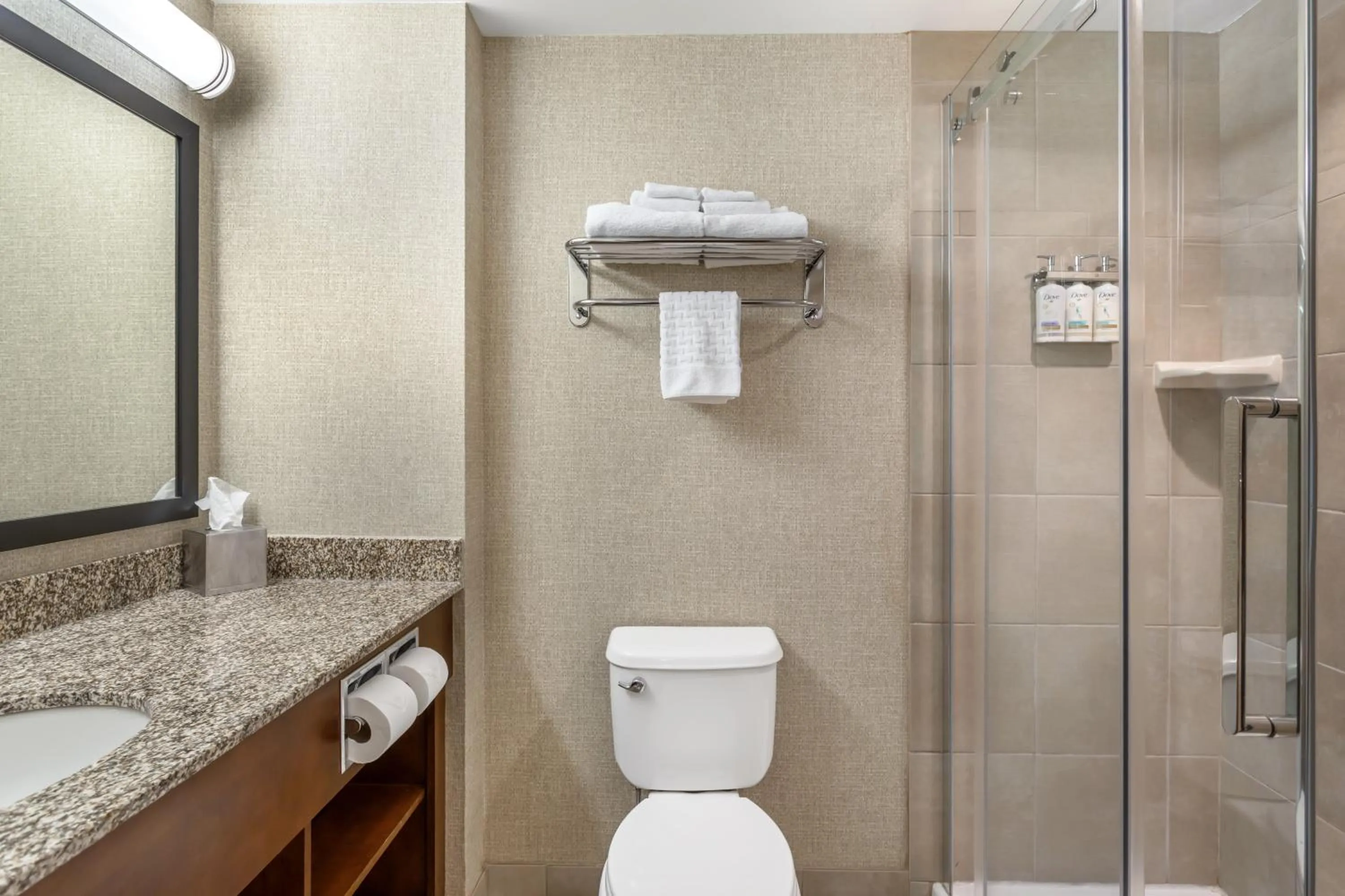 Bathroom in Best Western Plus Service Inn & Suites