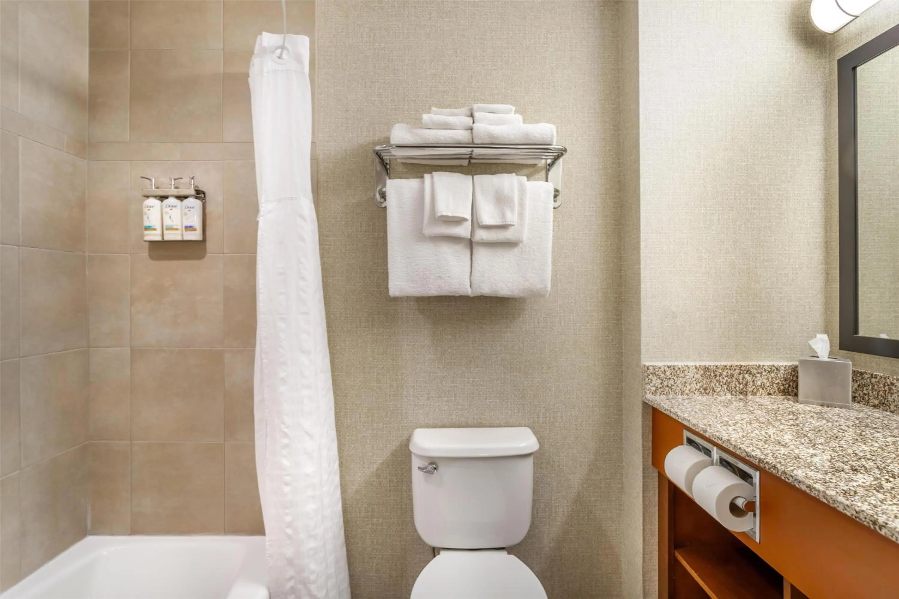 Bathroom in Best Western Plus Service Inn & Suites