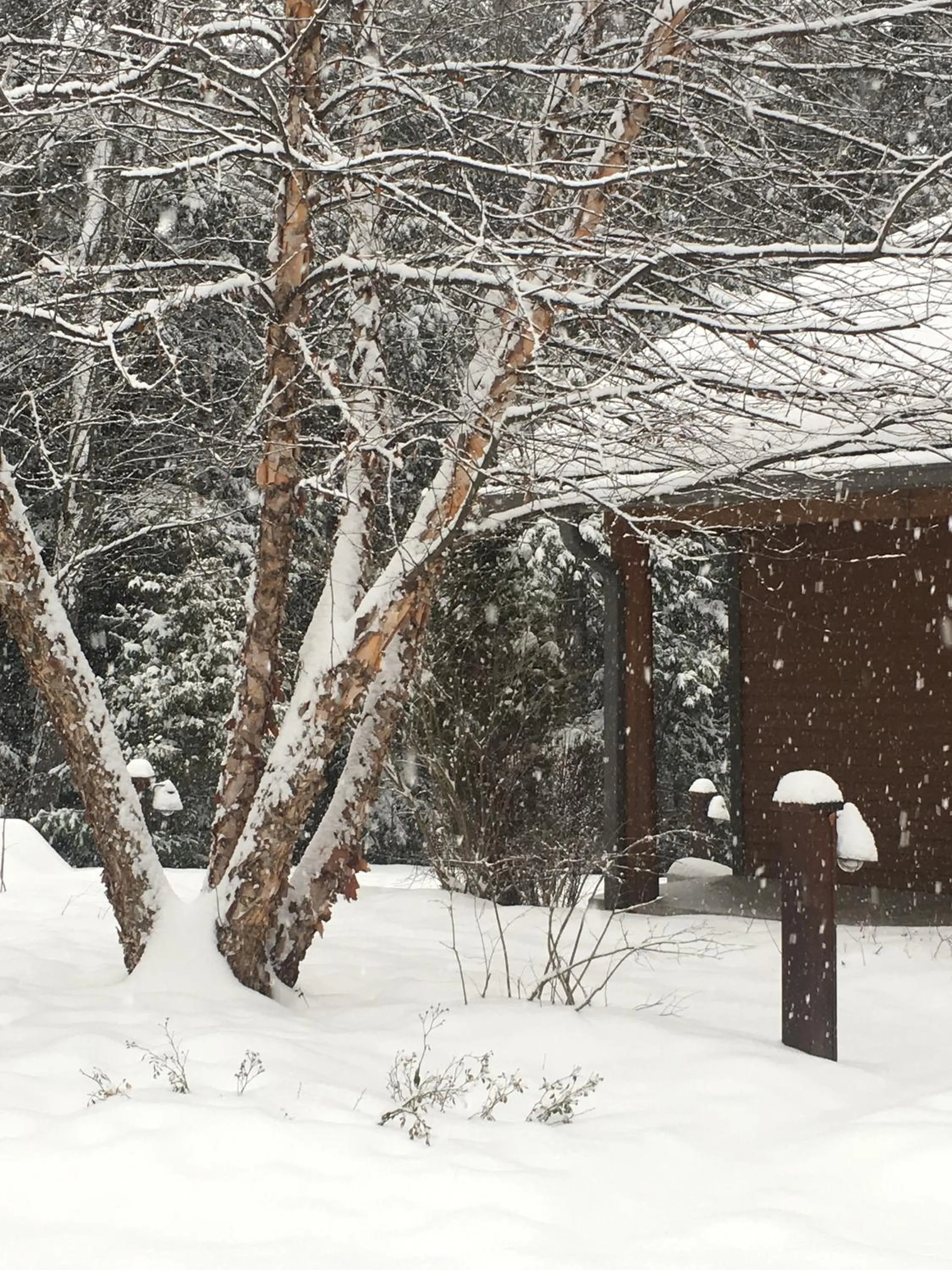 Facade/entrance in The Fern Lodge
