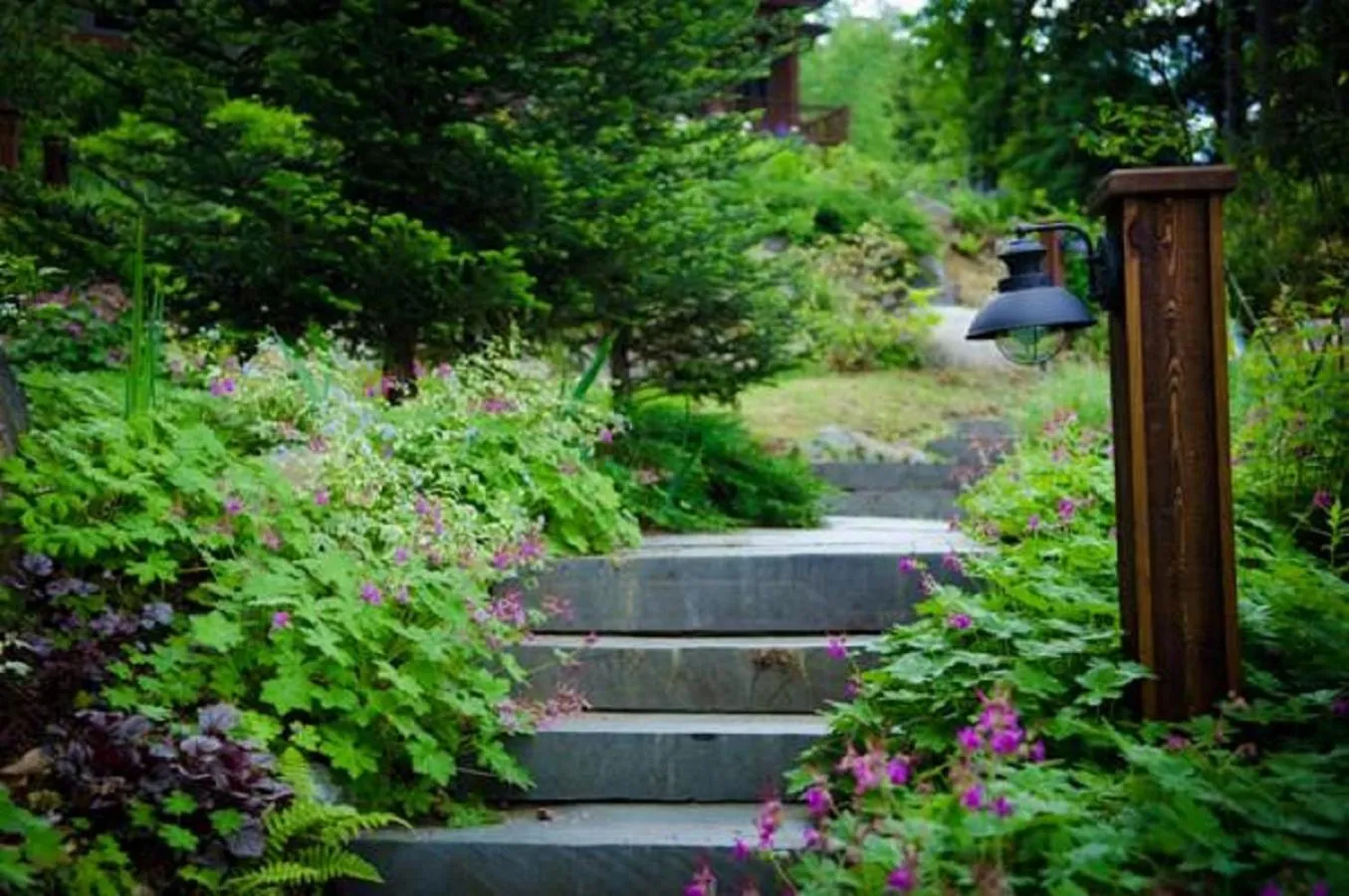 Garden in The Fern Lodge
