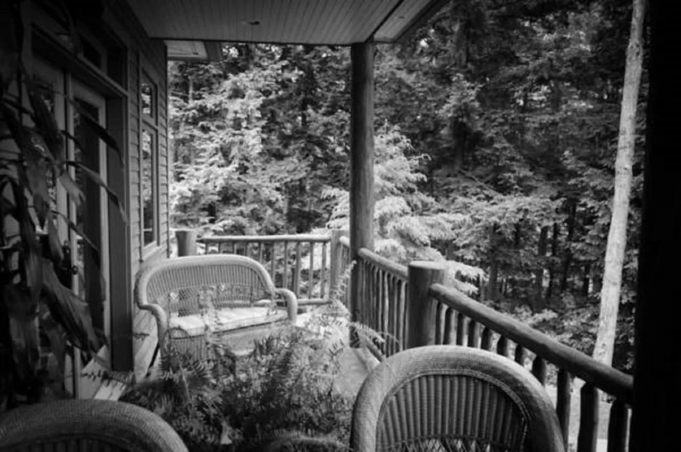 Balcony/Terrace in The Fern Lodge