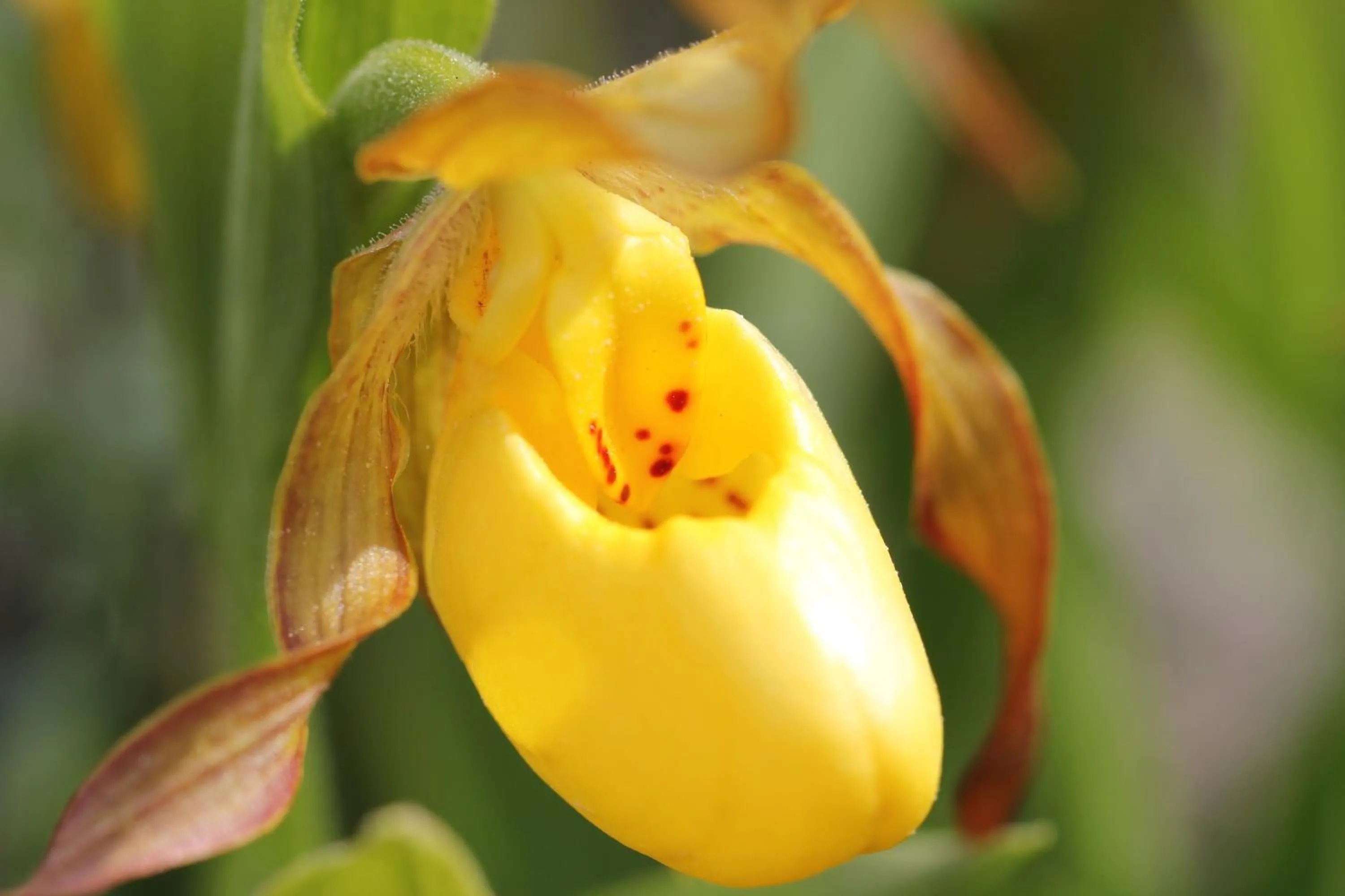 Natural landscape in Double G Service