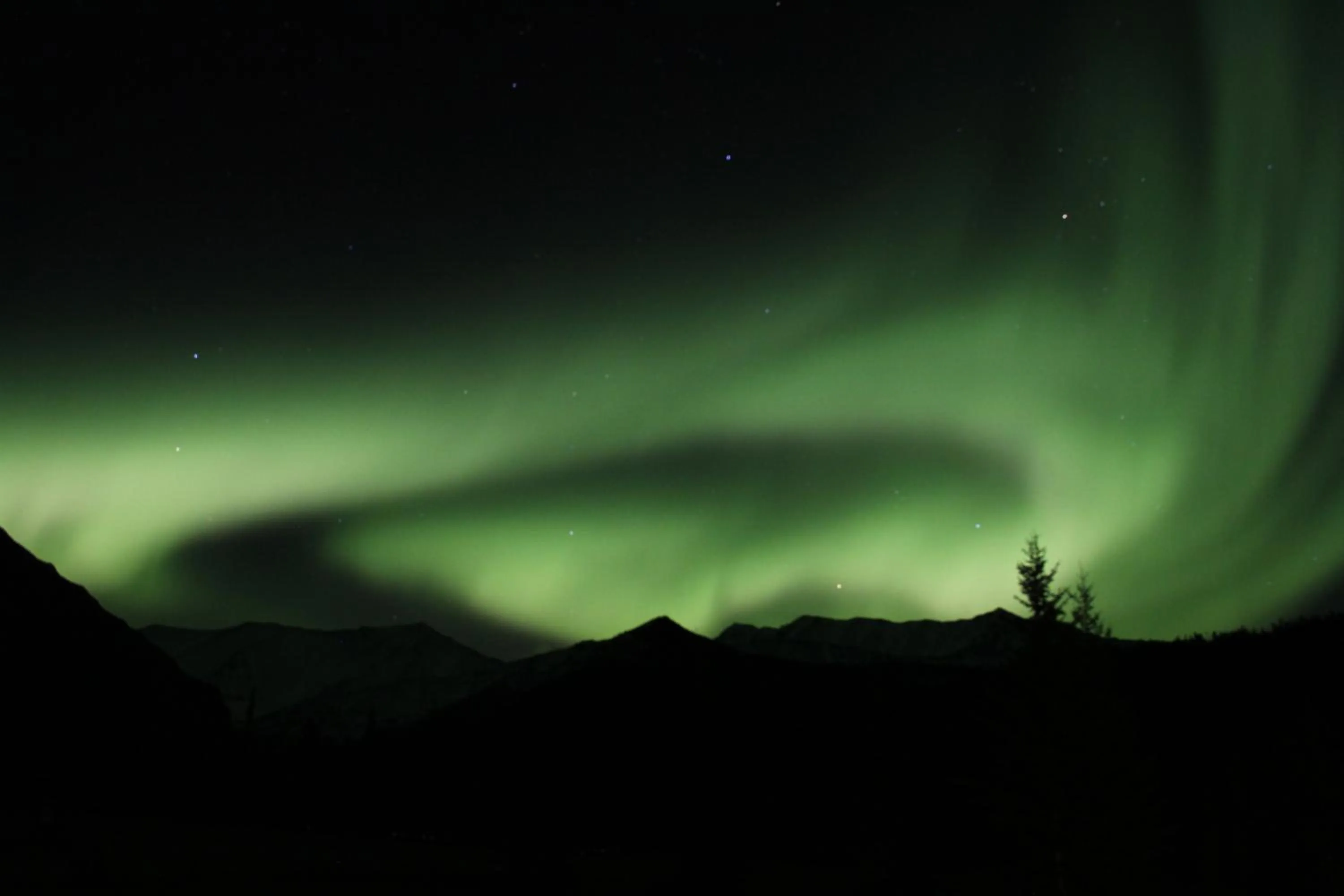 Winter in Double G Service