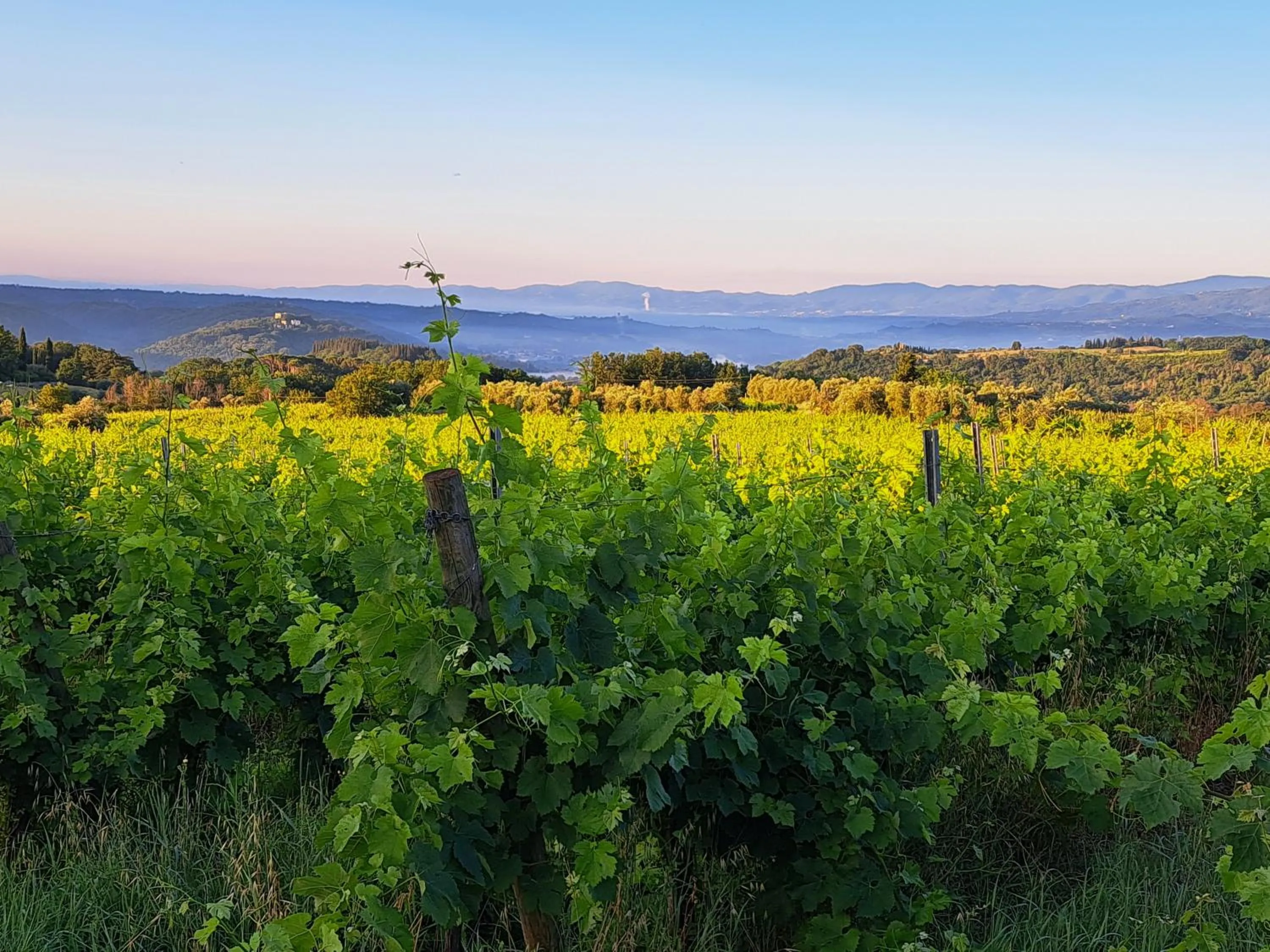 Mountain view in La Favilletta Casa Vacanze