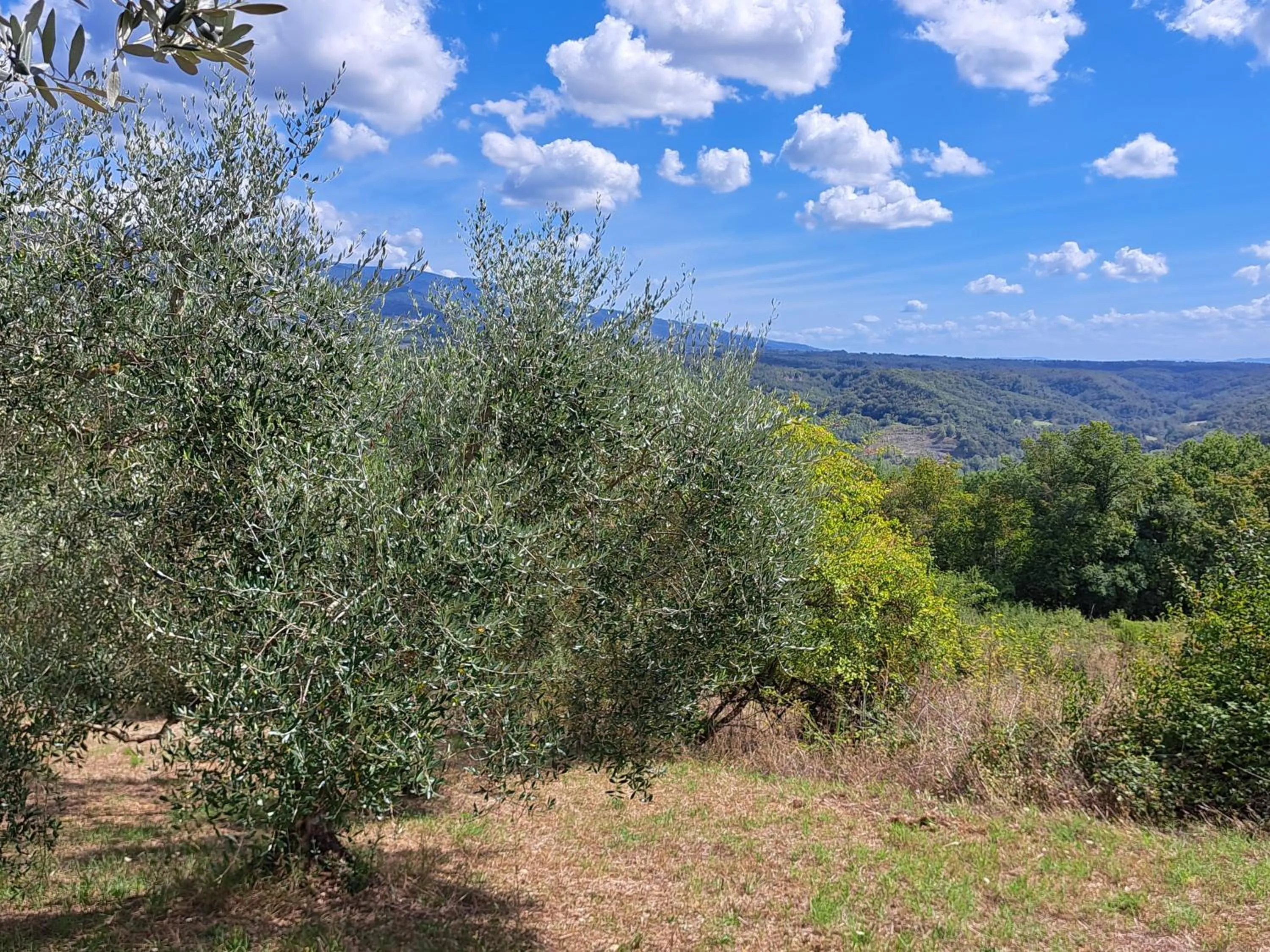 La Favilletta Casa Vacanze