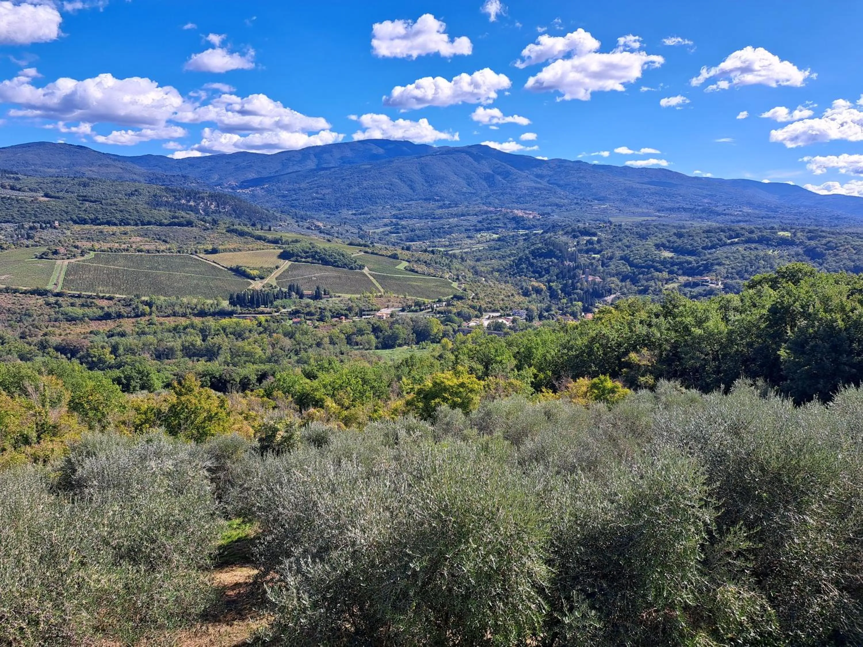 Mountain view in La Favilletta Casa Vacanze