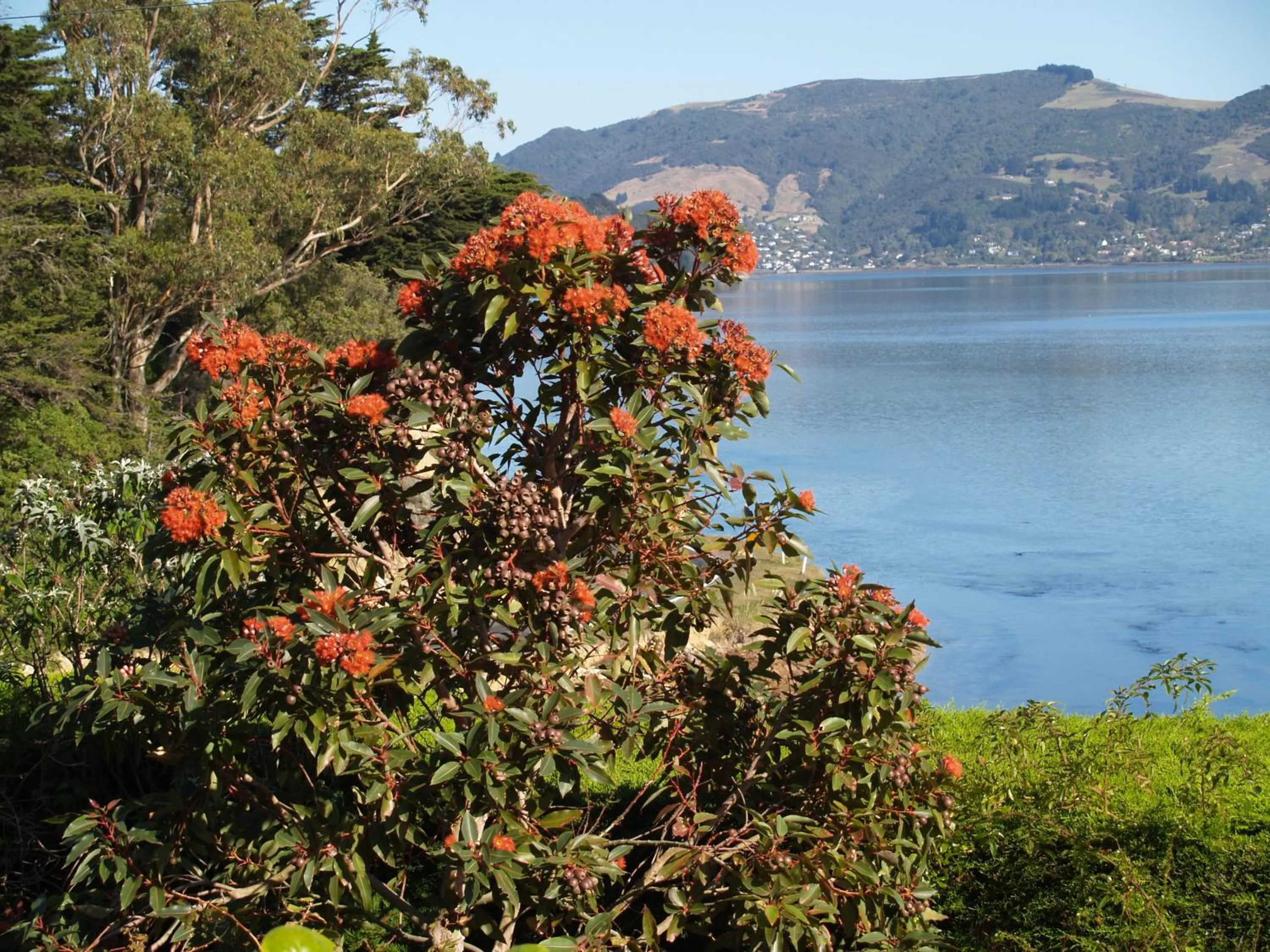 View (from property/room) in Captain Eady's Lookout