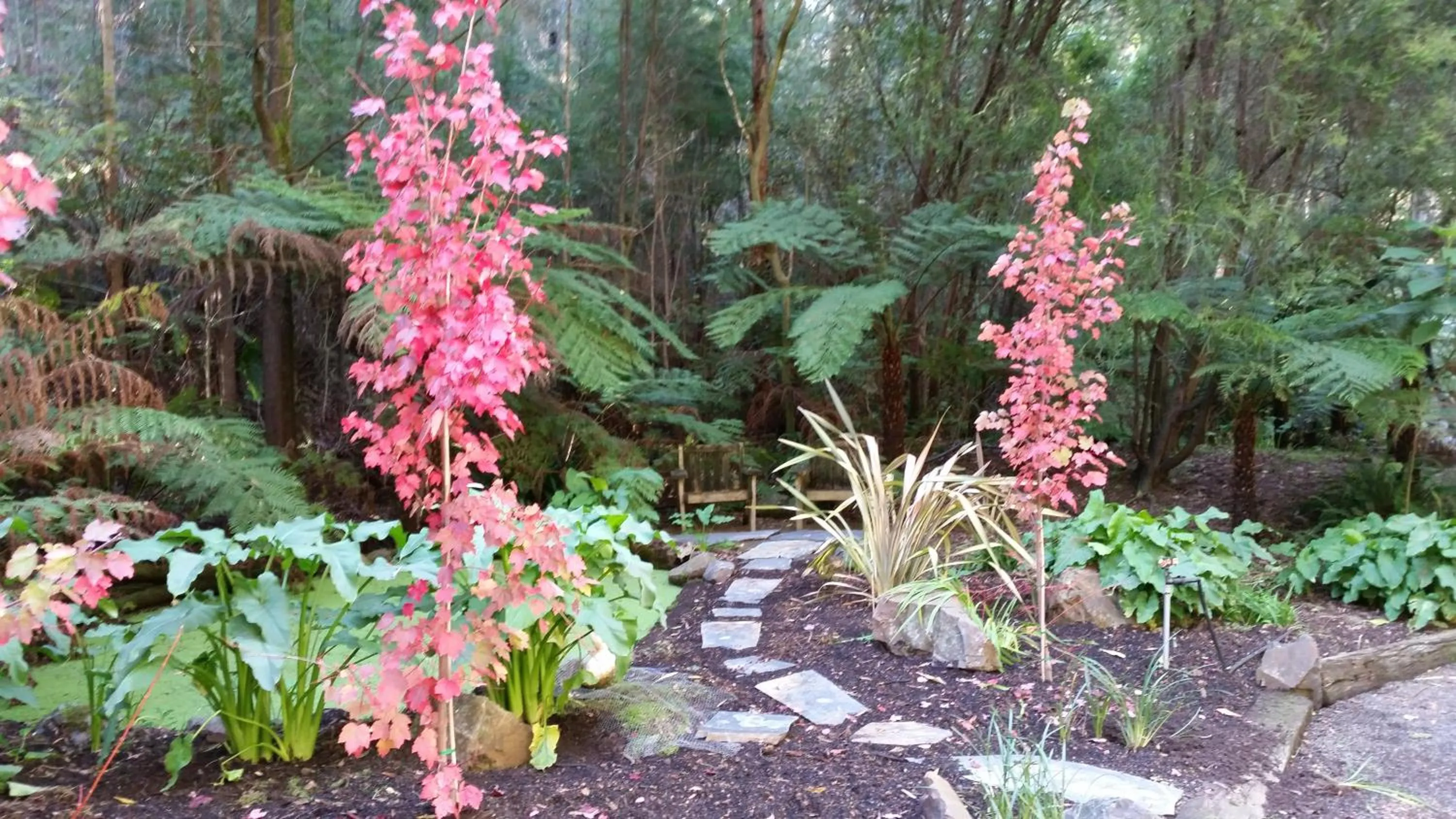 Garden in Myers Creek Cascades Luxury Cottages