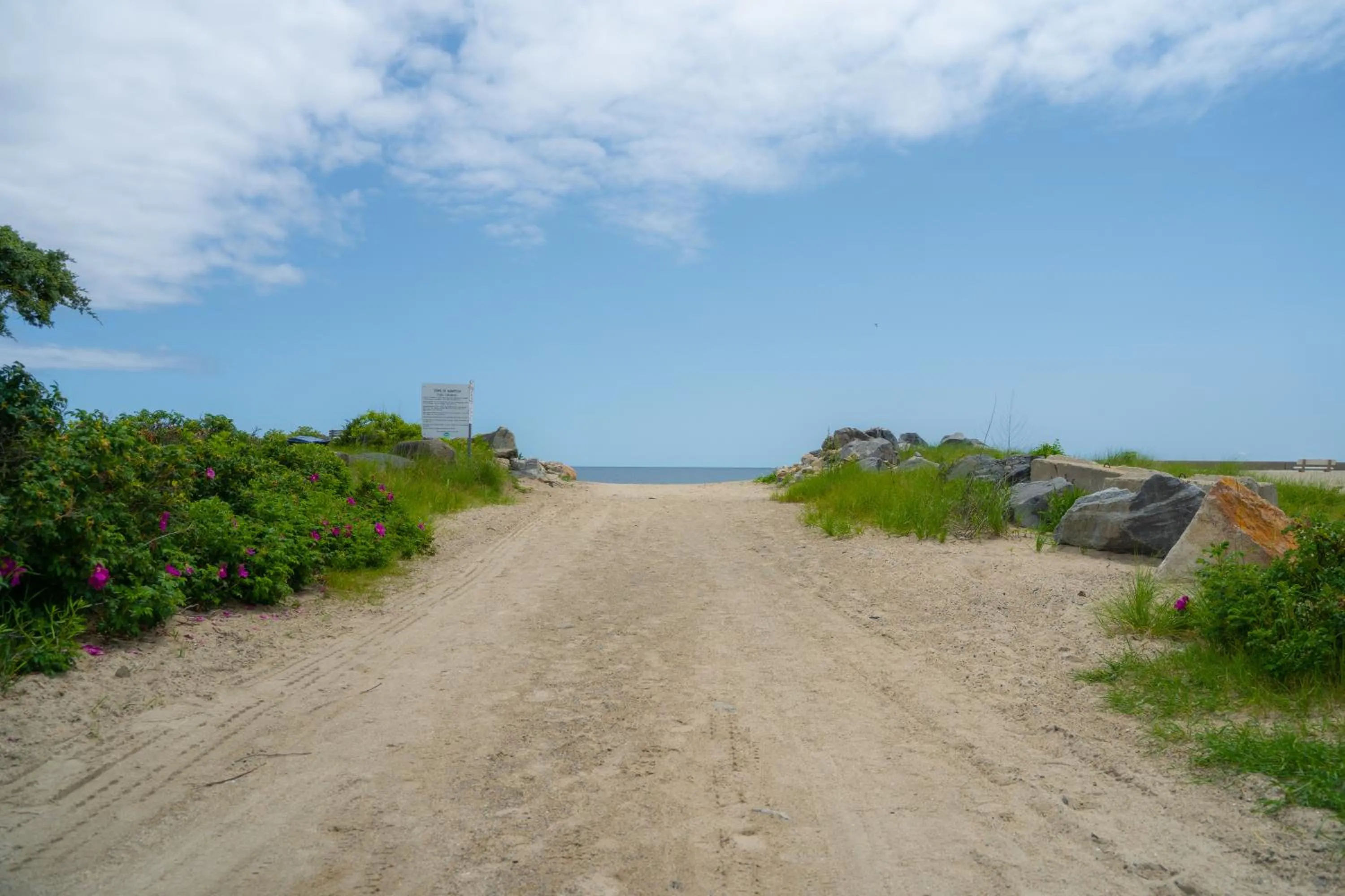 Natural landscape in 935 Ocean, a Beachside Inn