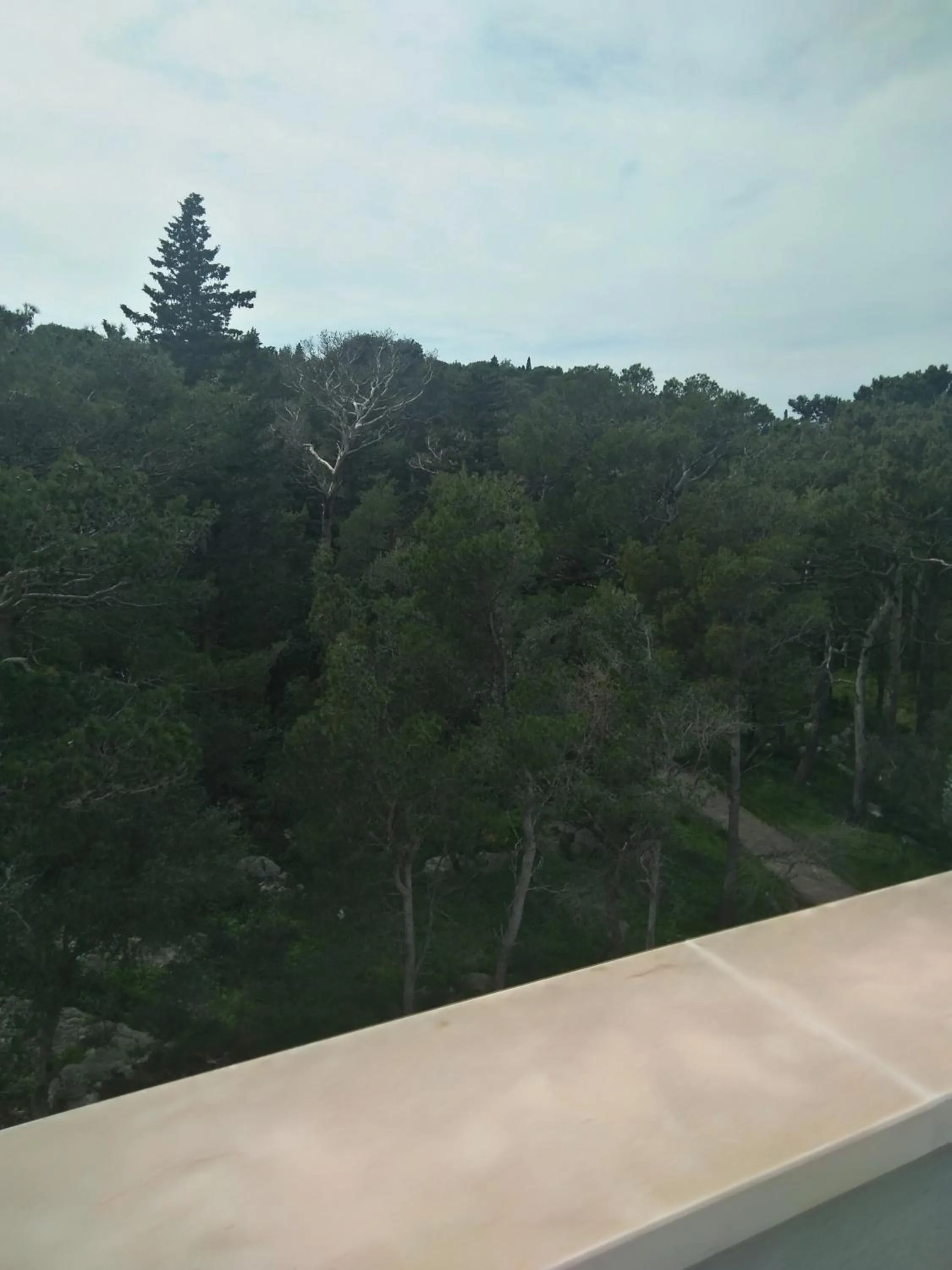 Deluxe Double Room in Aparthotel Miramare