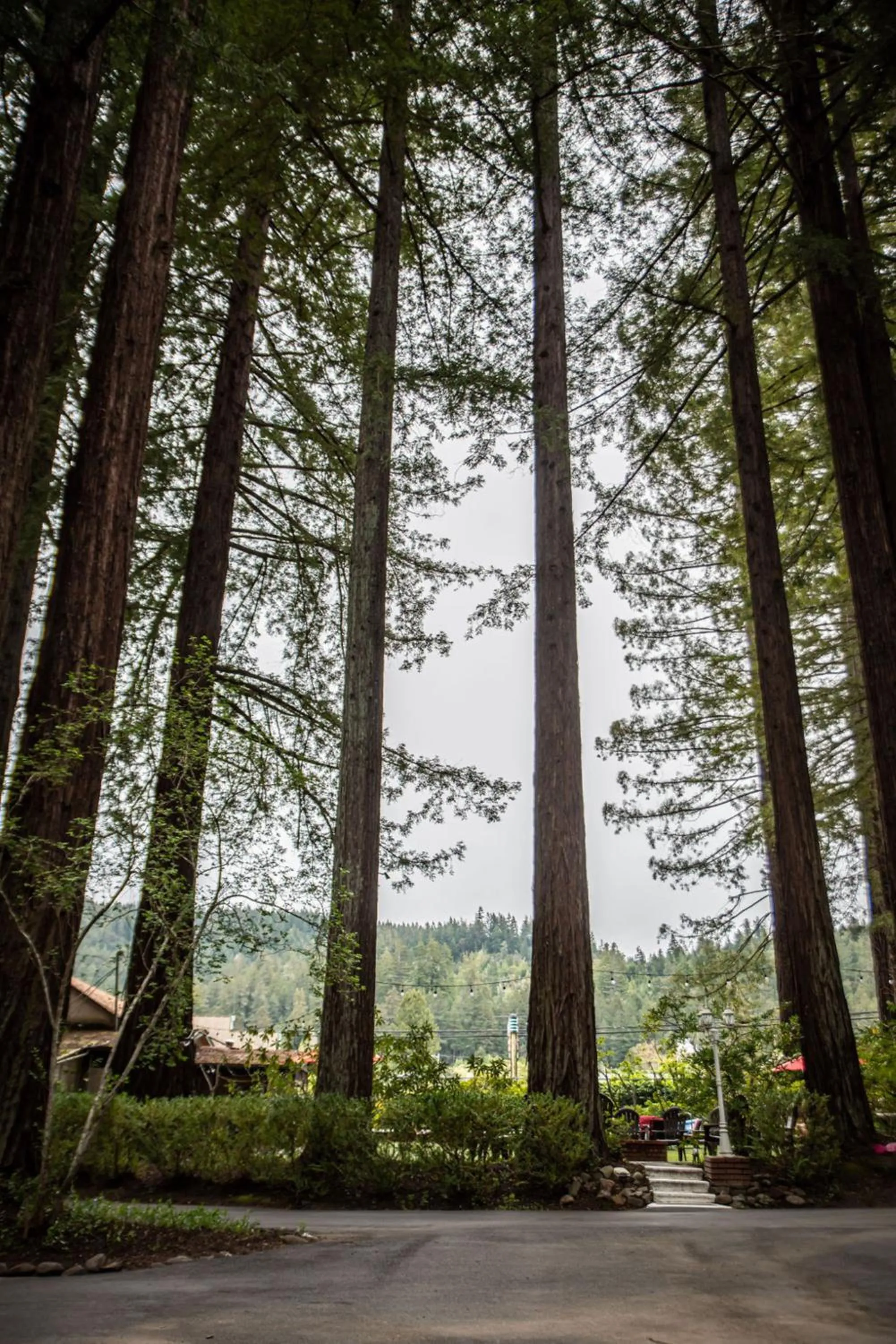 Garden view in Miranda Gardens Resort