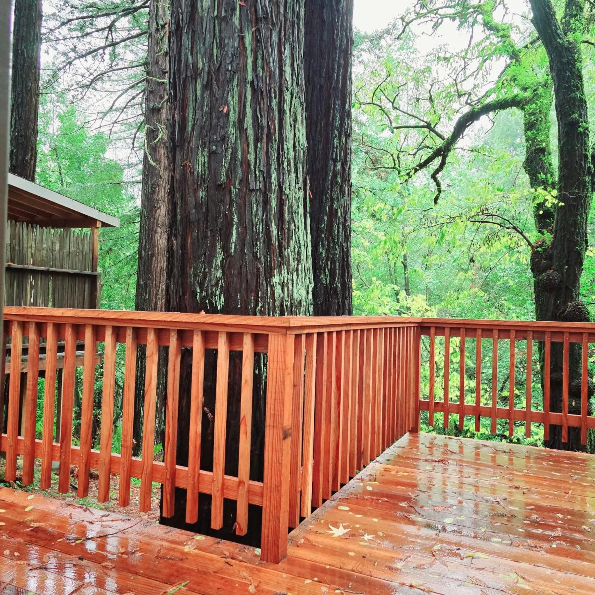 Patio in Miranda Gardens Resort