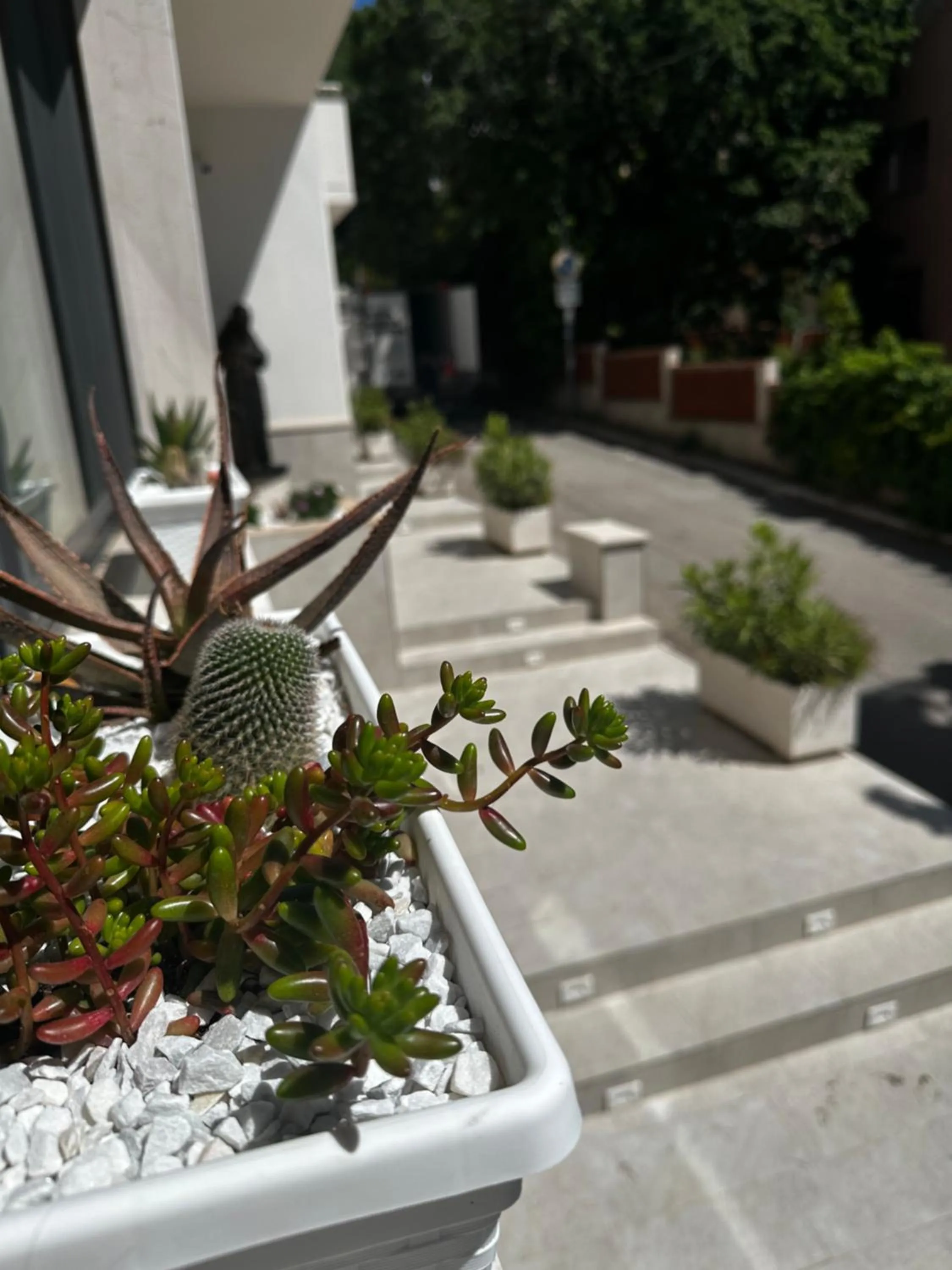 Day in Hotel San Francesco