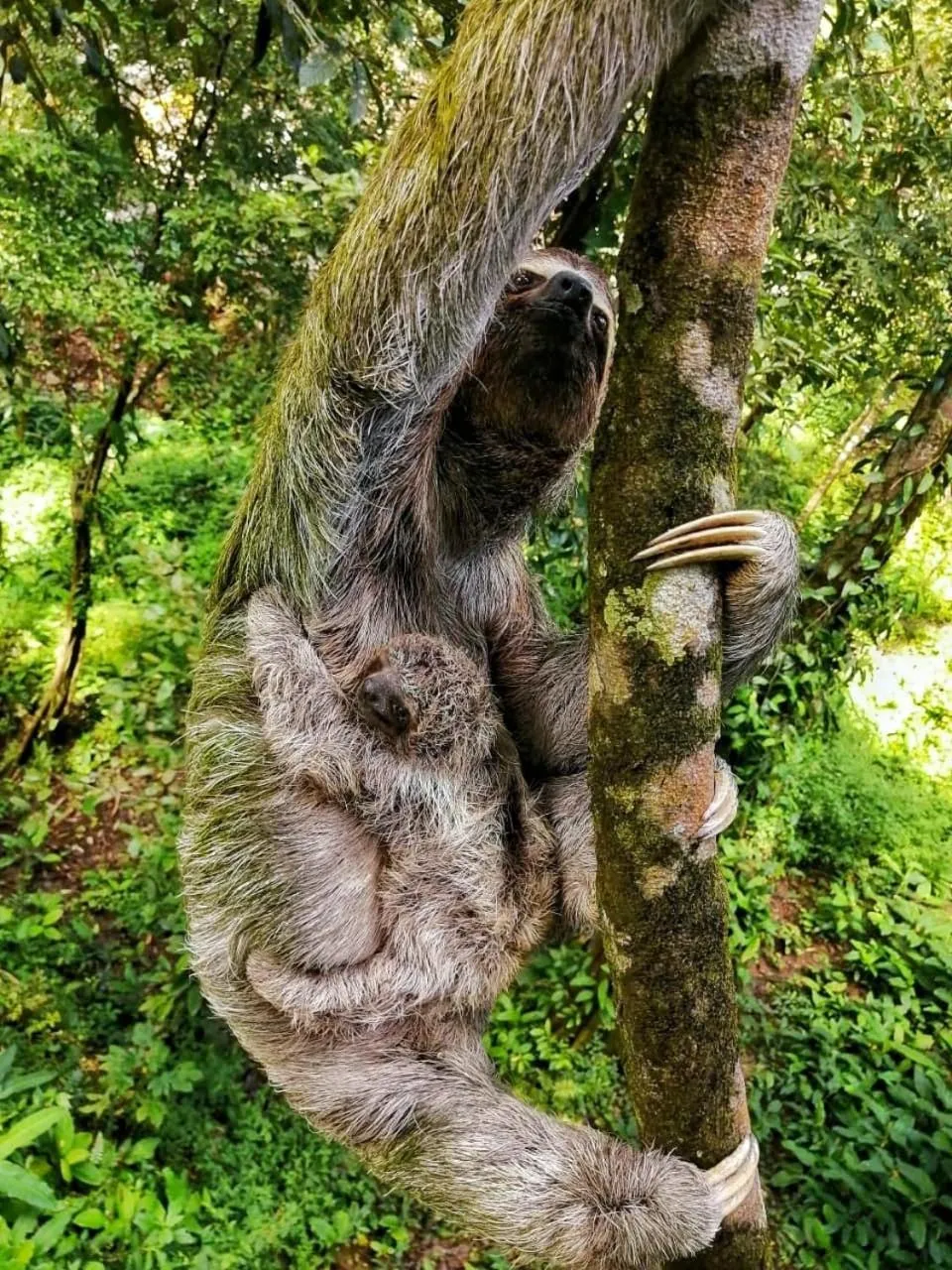 Natural landscape in Mountain Top Park Hotel
