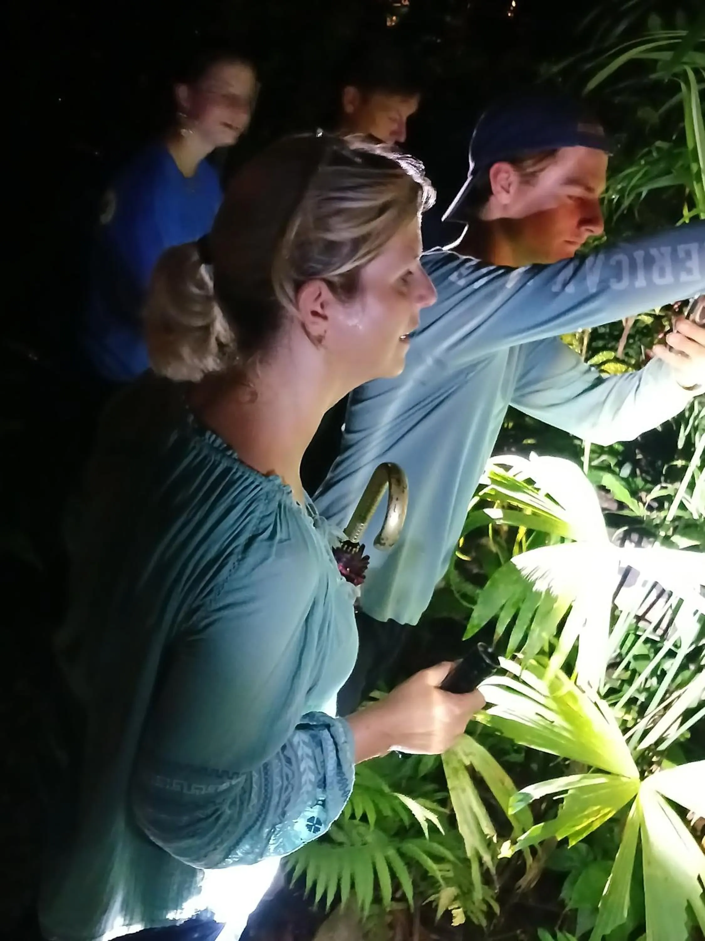 Night in Mountain Top Park Hotel