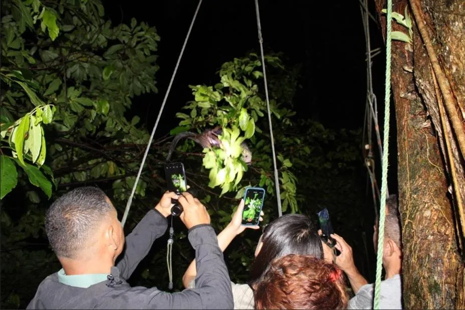 Property building in Mountain Top Park Hotel