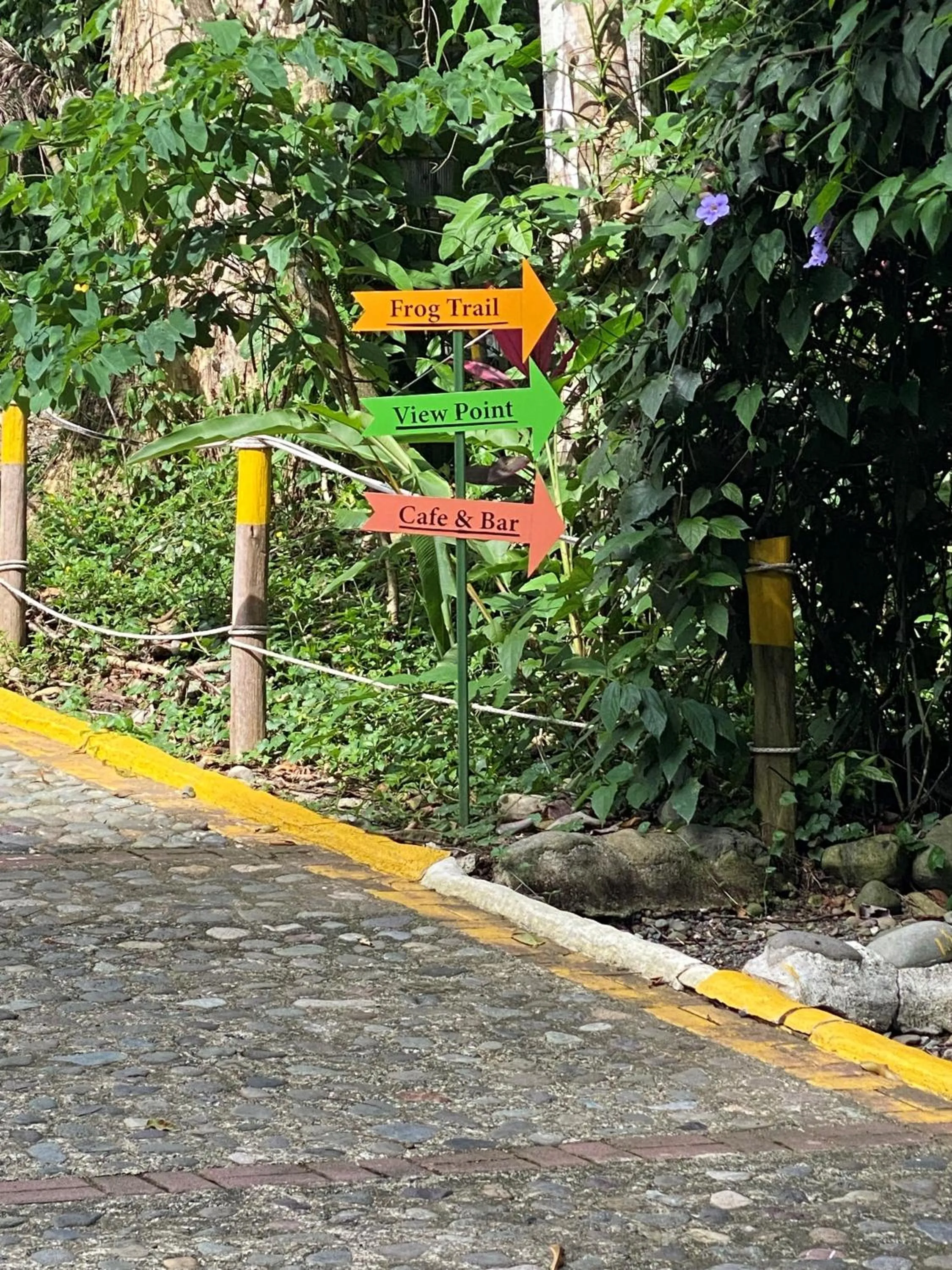 Day in Mountain Top Park Hotel