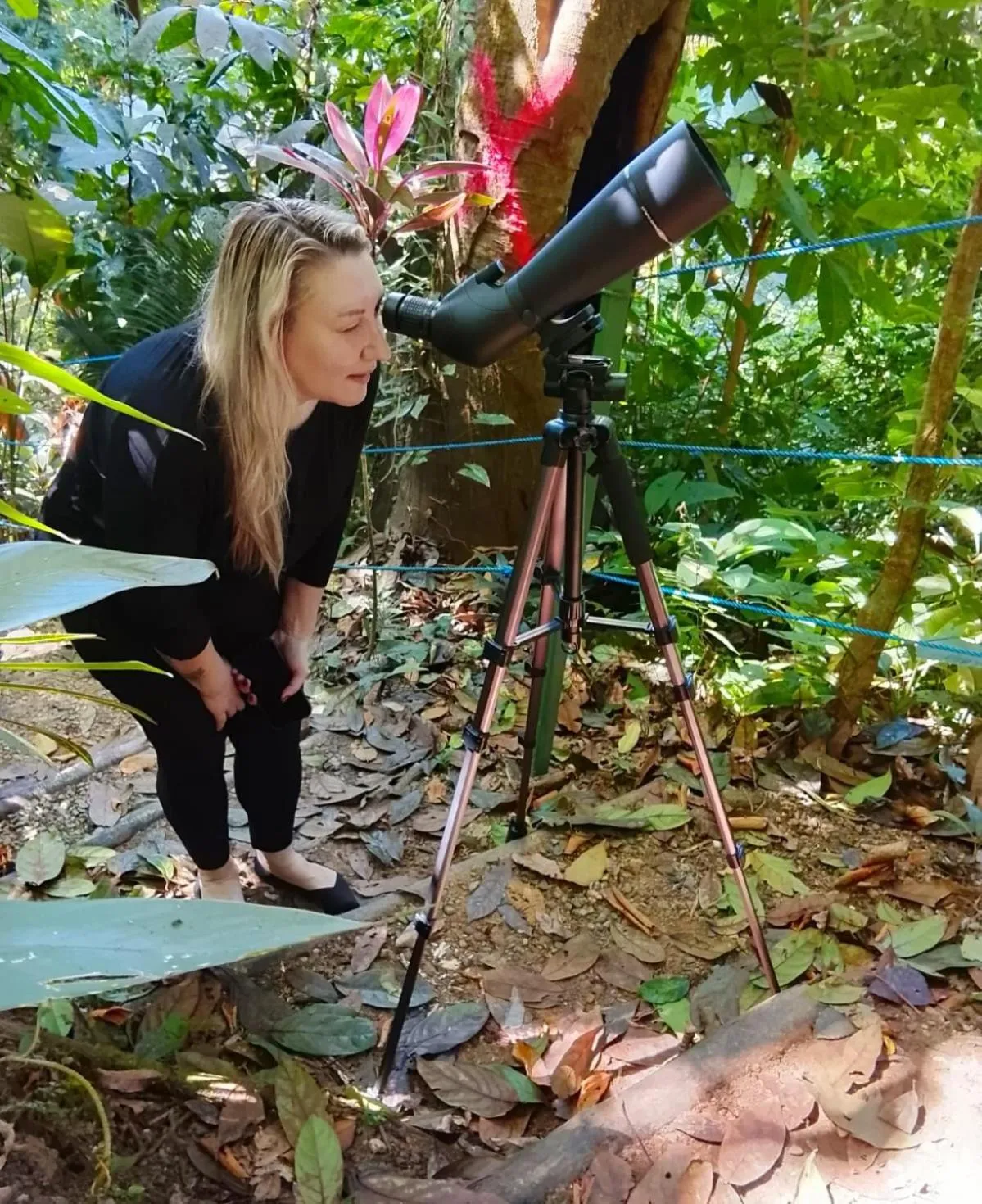Property building in Mountain Top Park Hotel