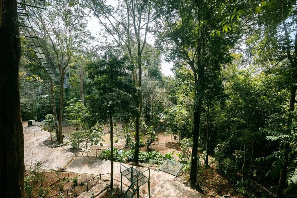 Garden in Mountain Top Park Hotel
