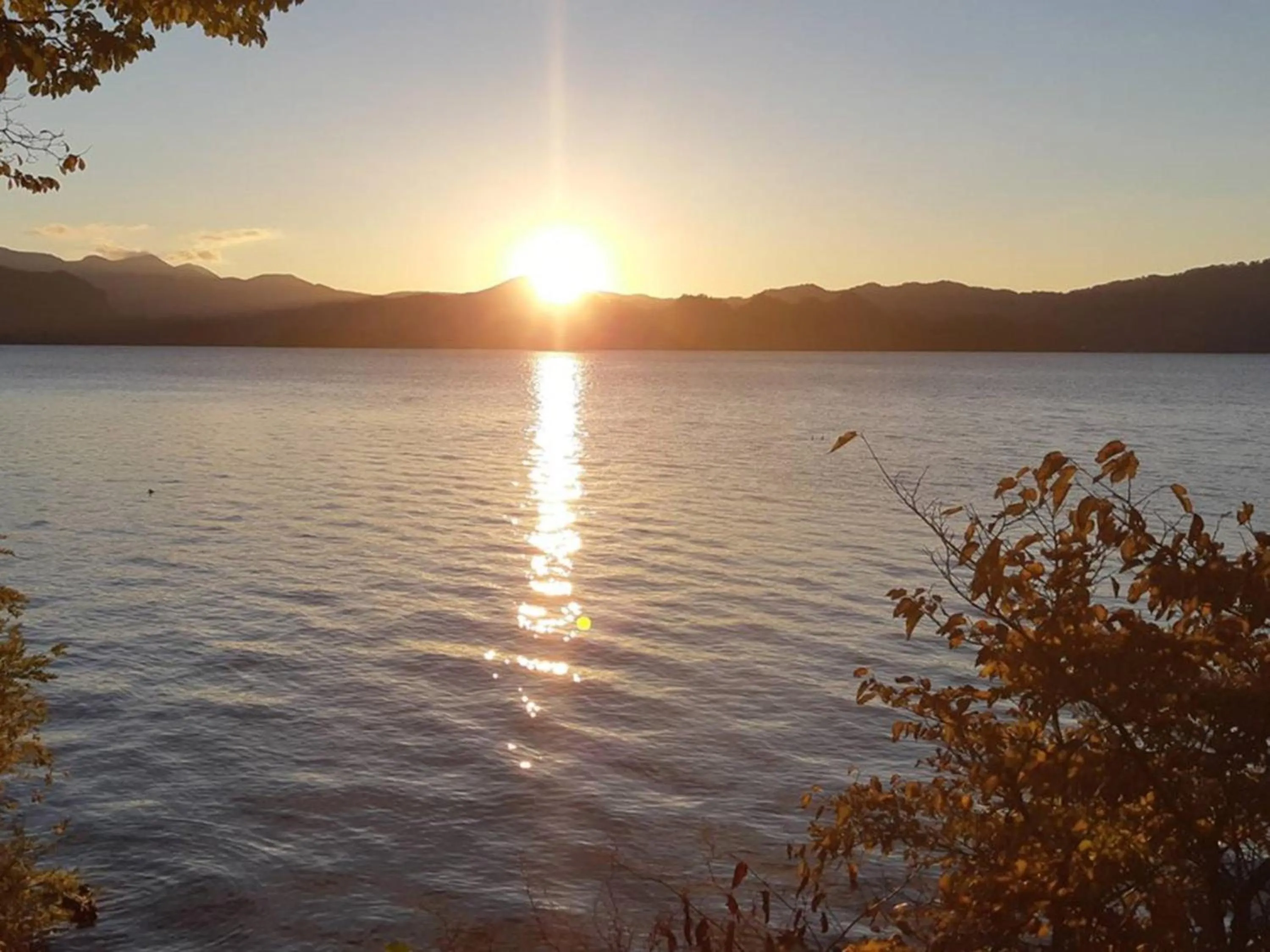 Garden view in Towada Prince Hotel