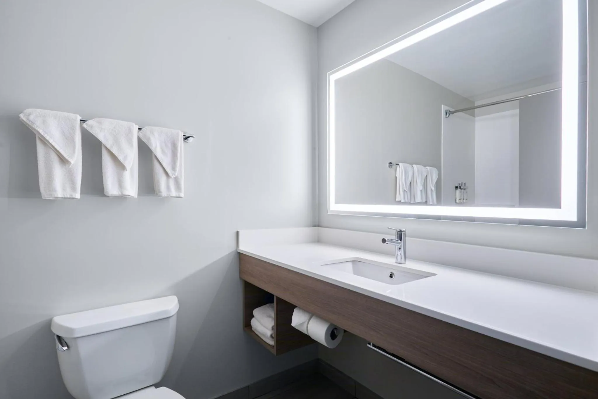 Bathroom in Holiday Inn Express Hotel & Suites Swift Current by IHG