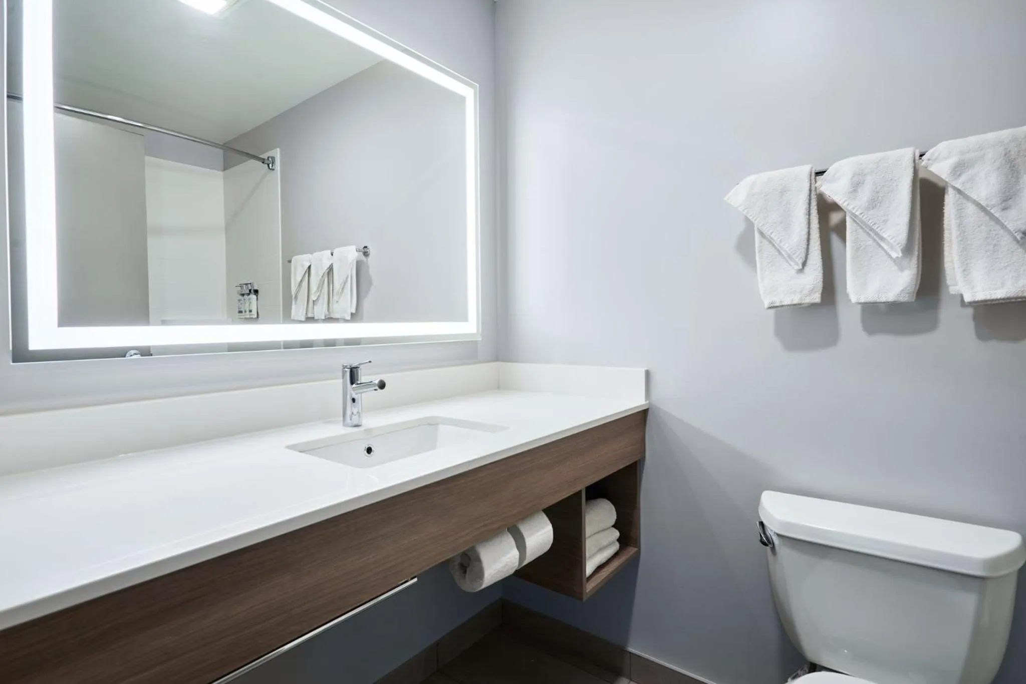 Bathroom in Holiday Inn Express Hotel & Suites Swift Current by IHG