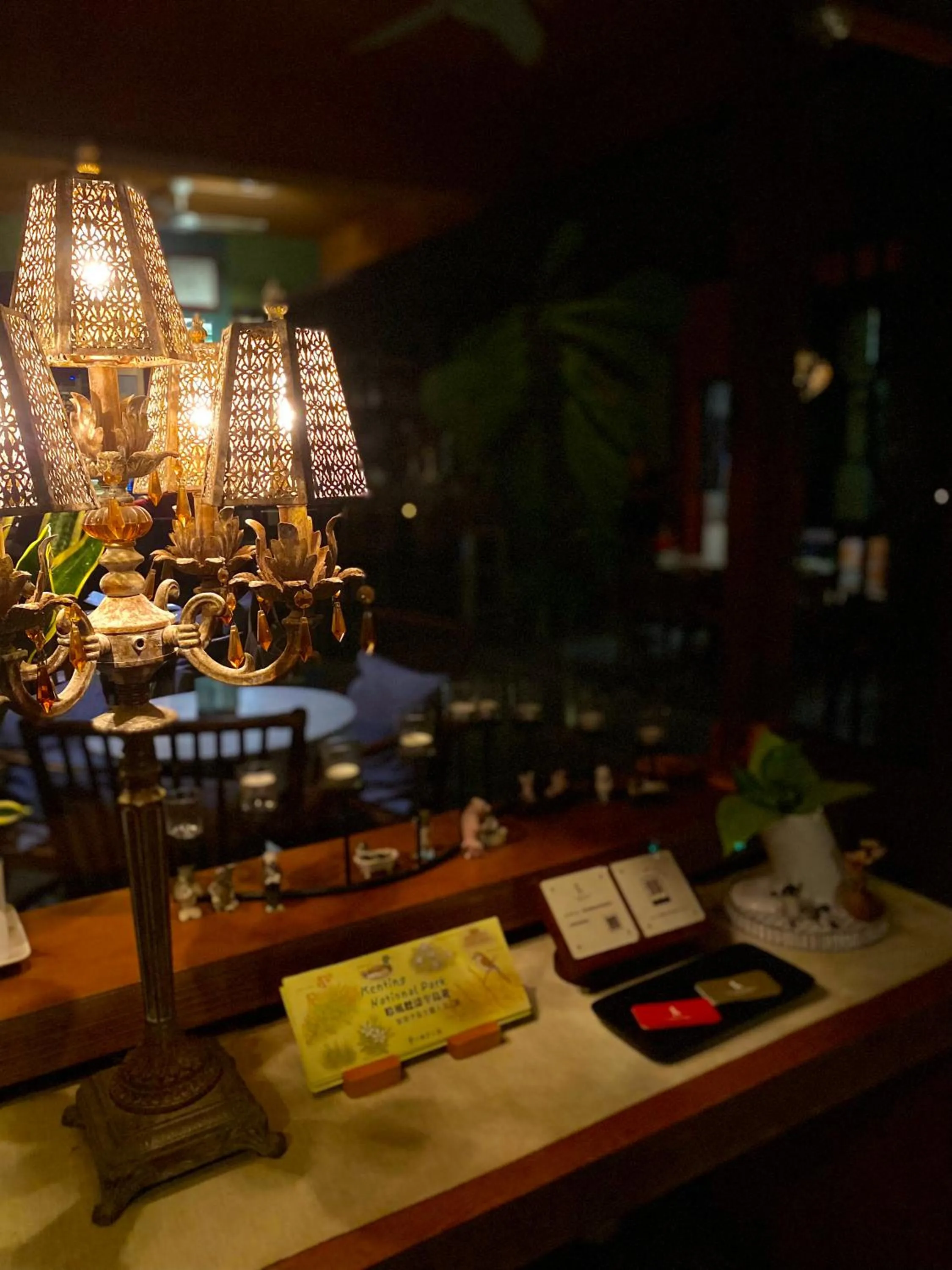 Night in The Deer Head Inn