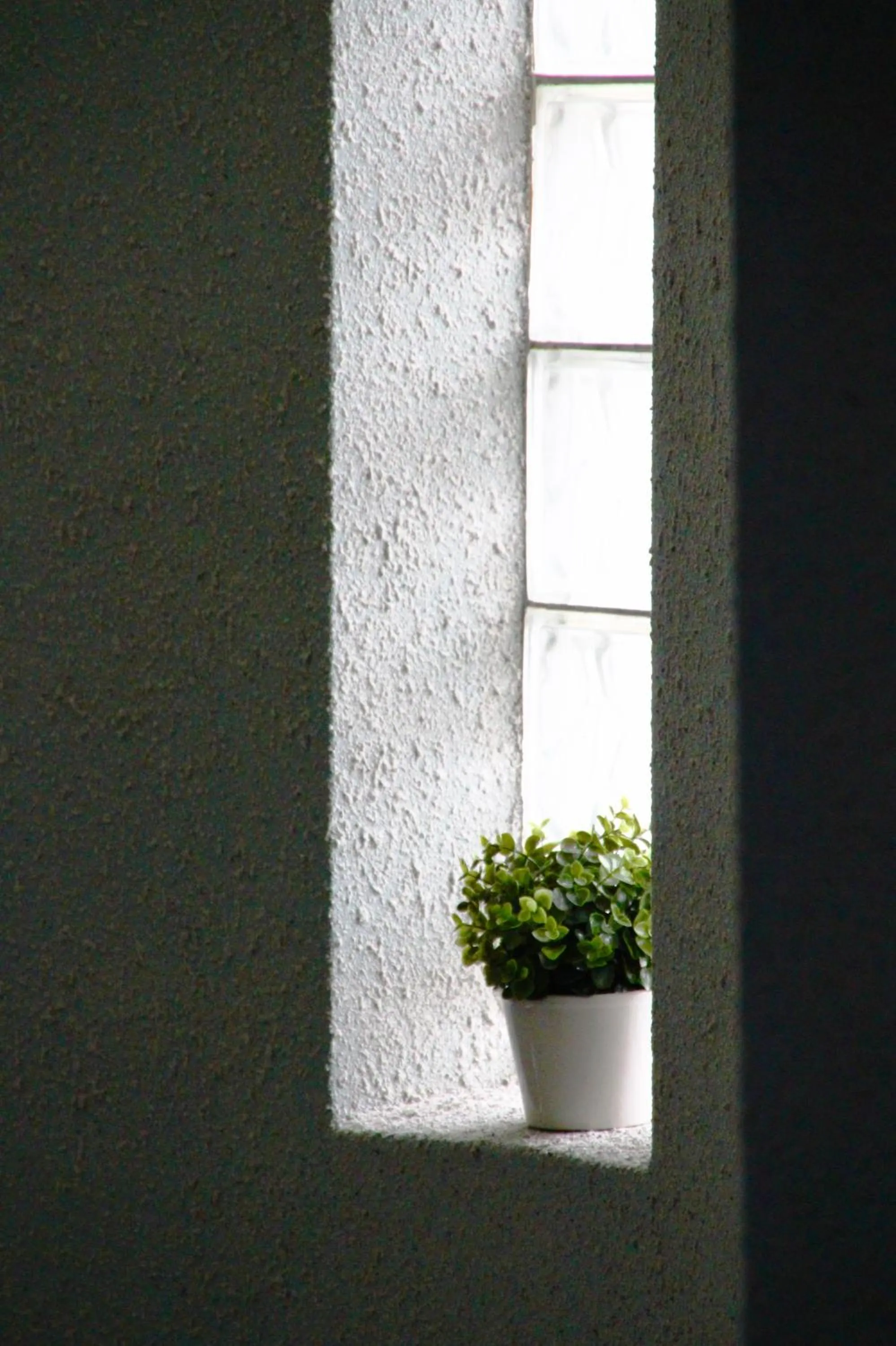 Decorative detail in The Deer Head Inn