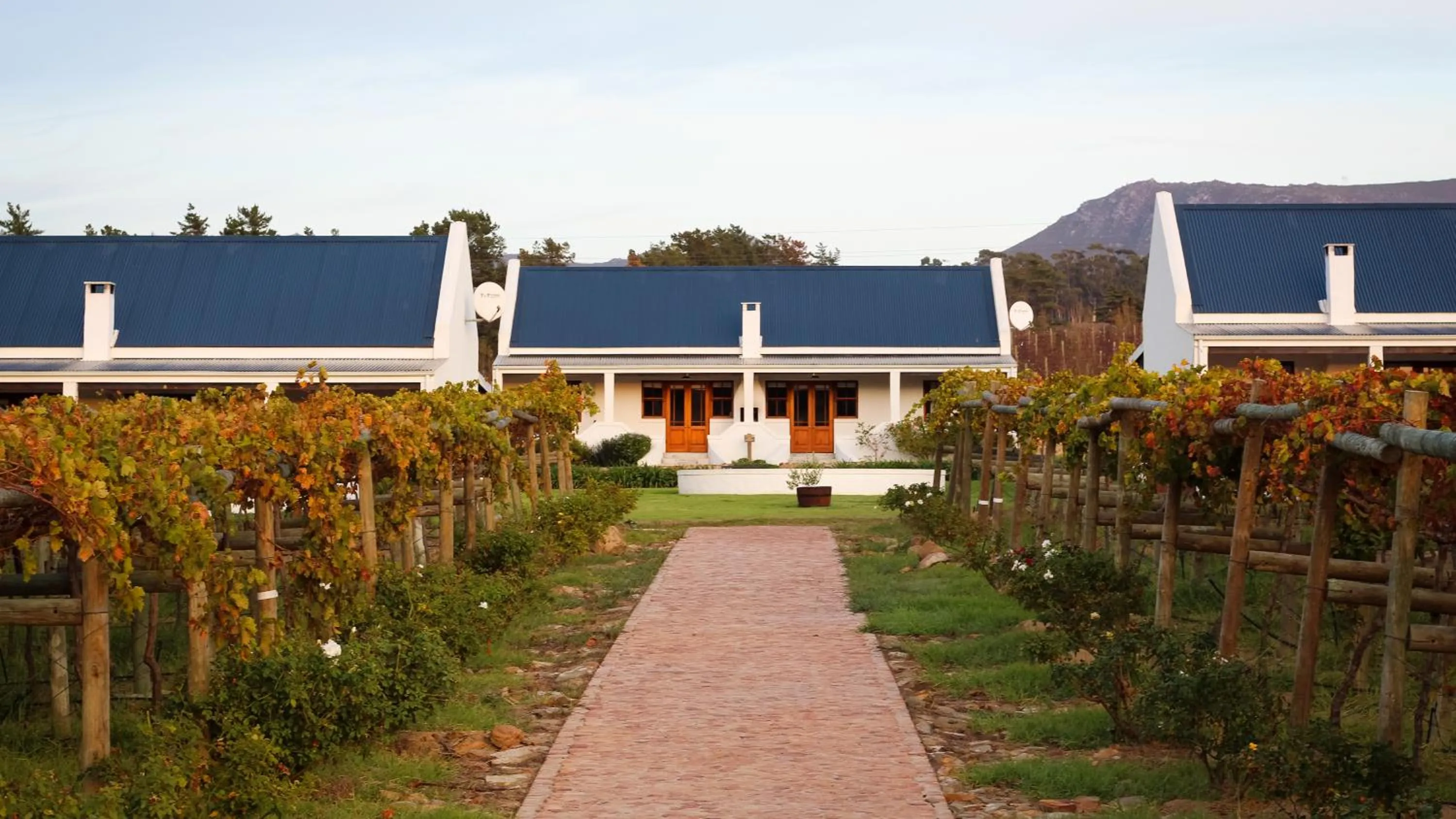 Property building in Endless Vineyards at Wildekrans Wine Estate